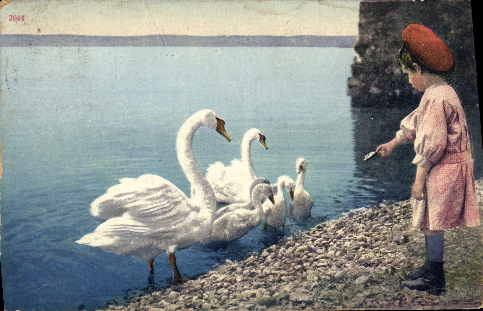 CPA Suisse Enfant Cygnes