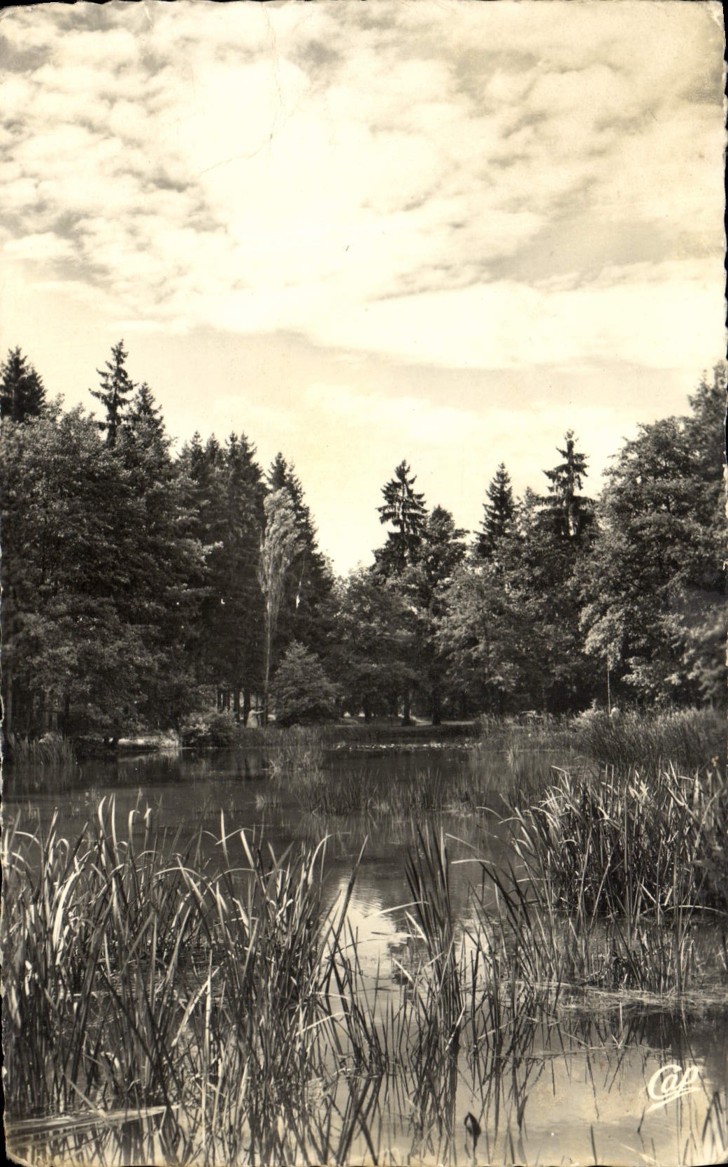 POSTAL MODERNA Vittel la charca de las hadas