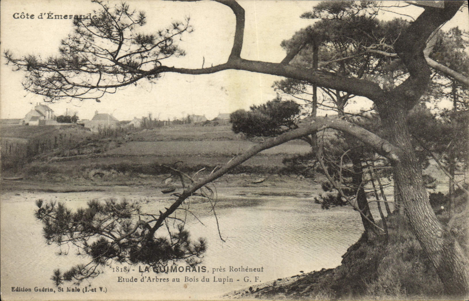 CPA Cote d'Emeraude La Guimorais Pres Rotheneuf Etude d'arbres au bois du Lupin