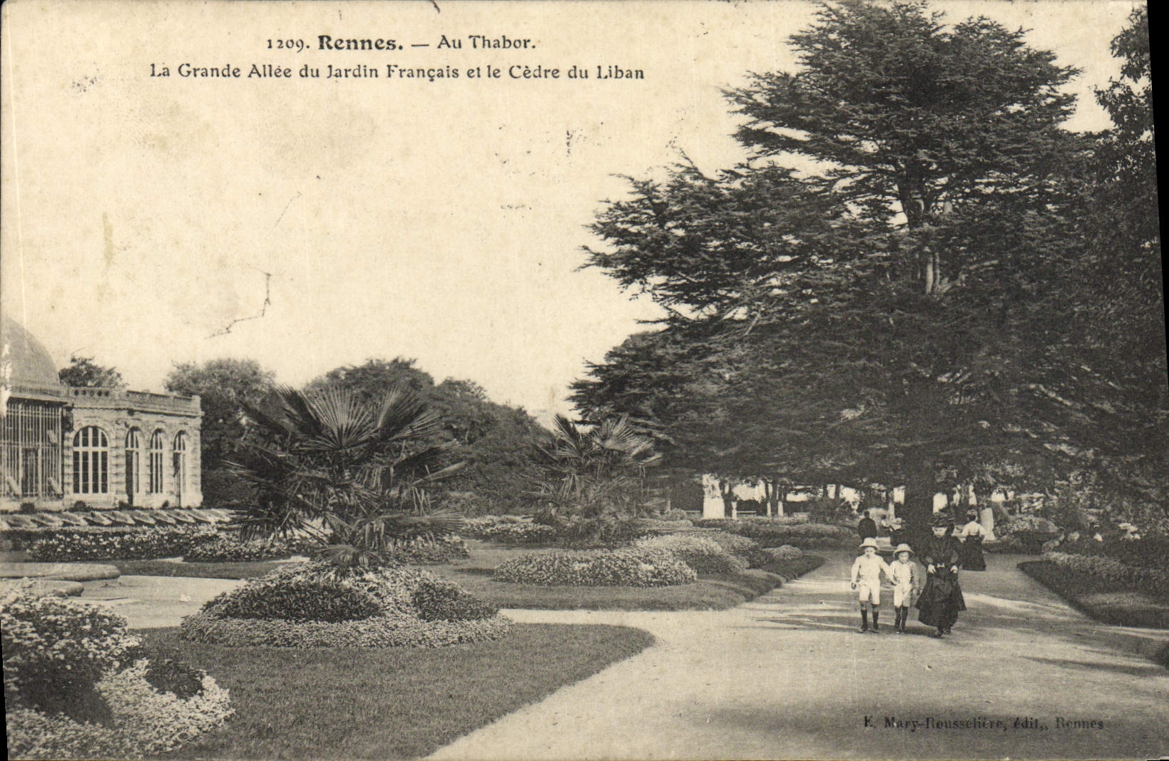 CPA Rennes Au Thabor La Grande Allee Du Jardin Francais Et Le Cedre Du Liban