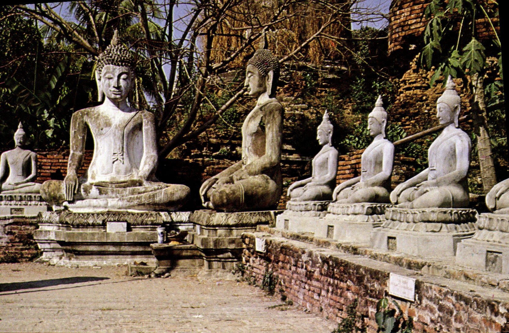 CPM Thailande Buddha statues Yai Chai Mongkoi Ayudhya 