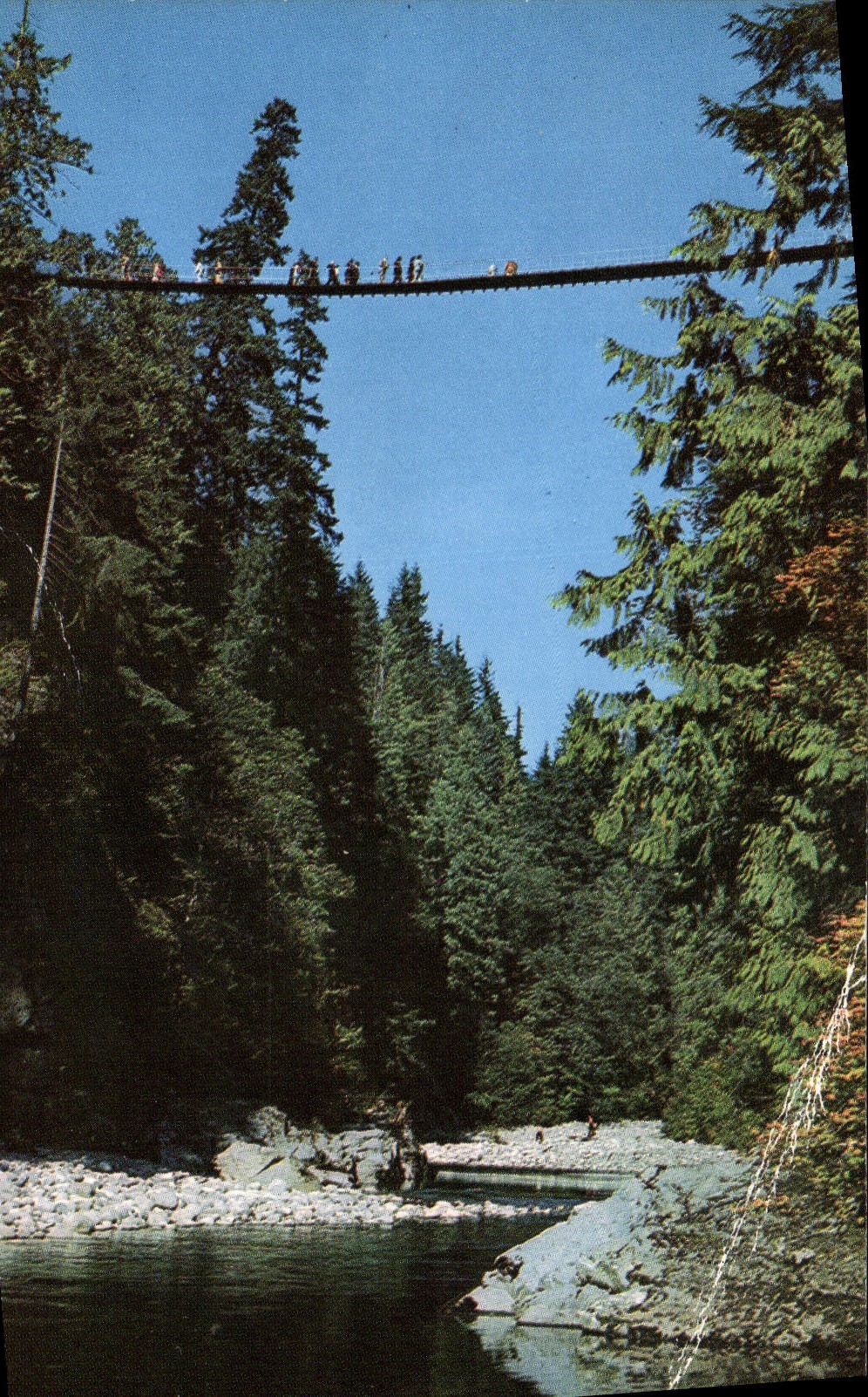 CPM Capilano Canyon Suspesion Bridge North Canada