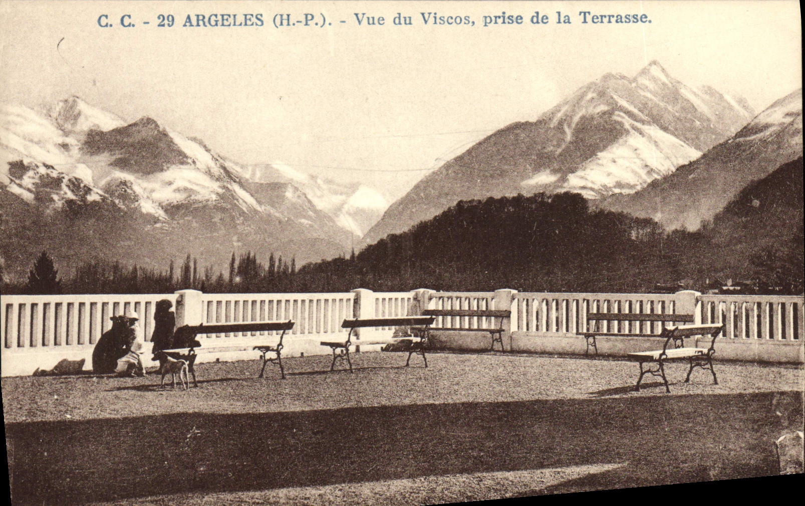 VINTAGE POSTCARD Argeles Seen Of Viscos Taken of the Terrace