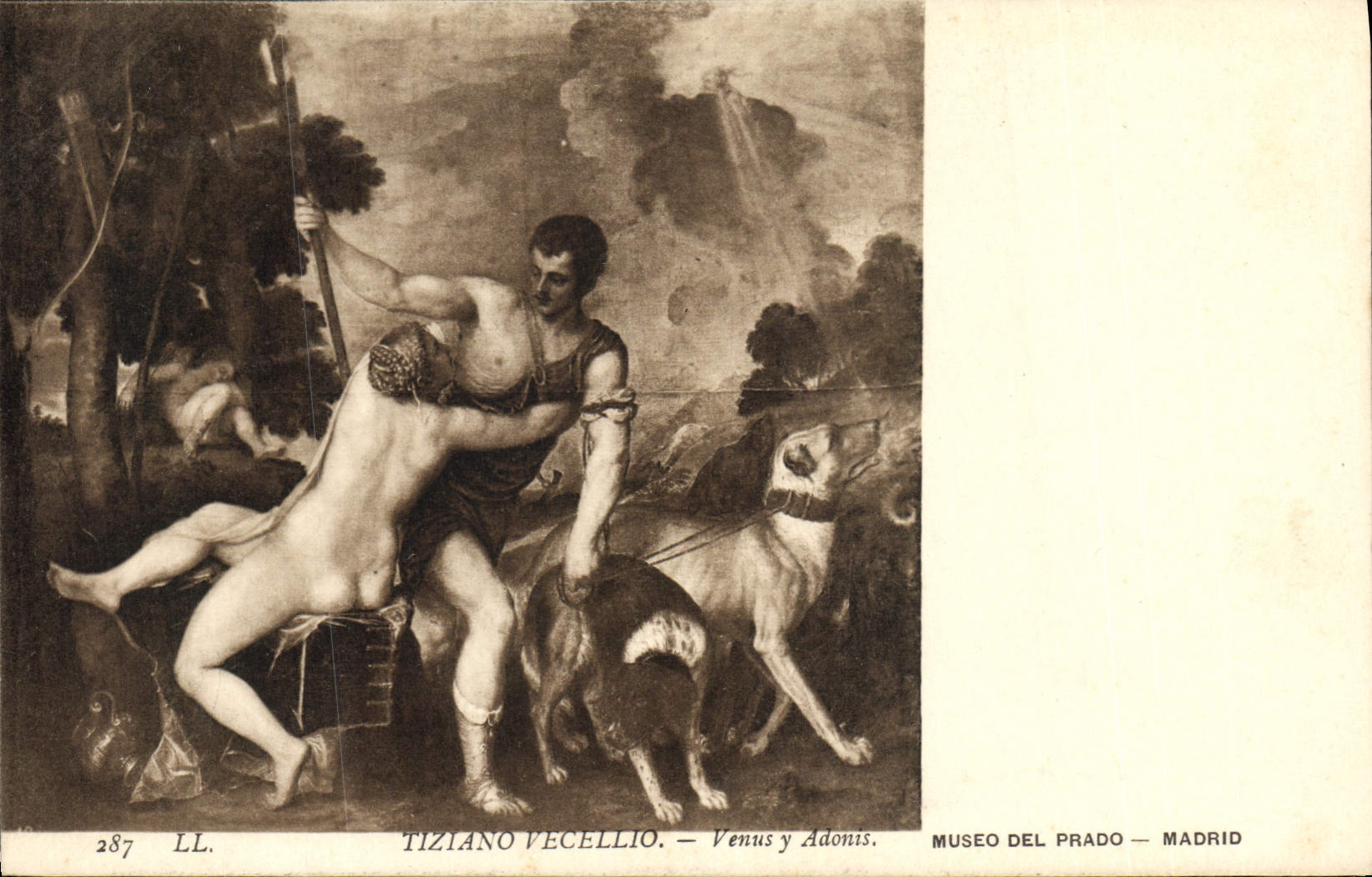 VINTAGE POSTCARD Tiziano Vecellio Come there Adonis Museo Del Prado Madrid Dogs Dog