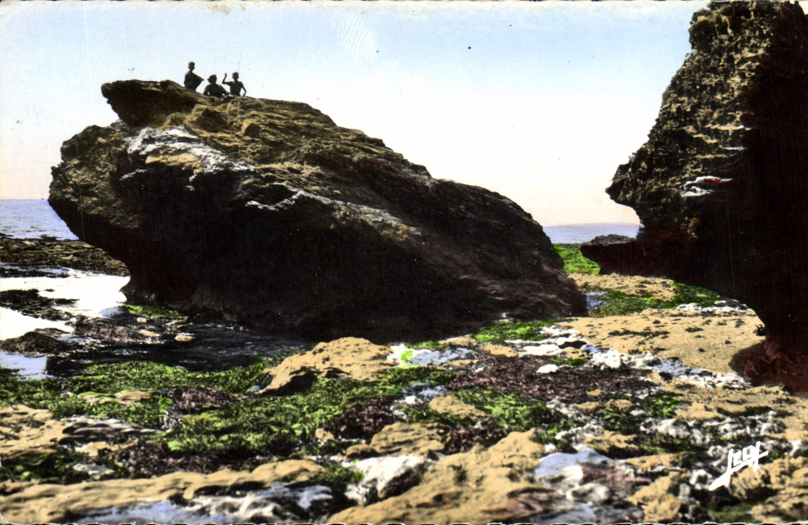 MODERN CARD Entree Cross of Transfers and Sion on the Ocean the rock of frog