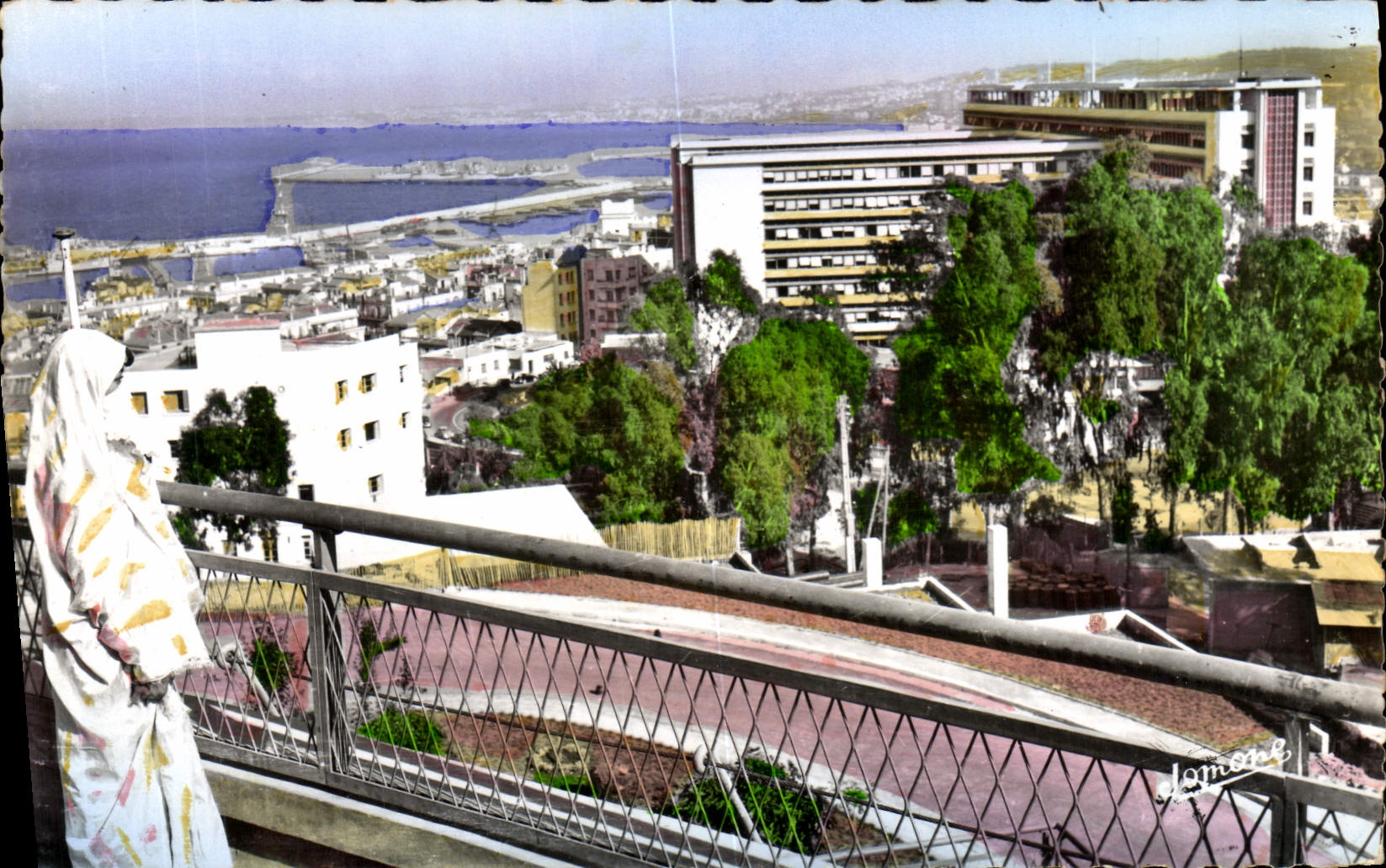 POSTAL MODERNA panorama de Argel en el general gobierno