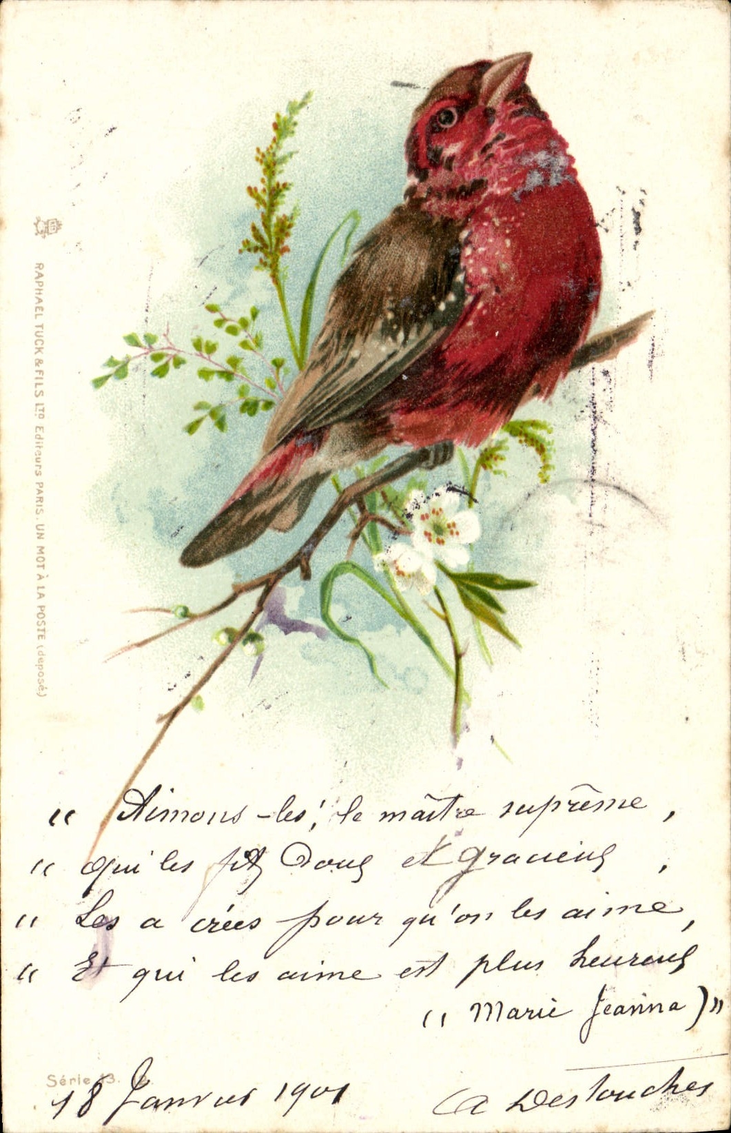 VINTAGE POSTCARD Red Fantaisie Bird Gorges