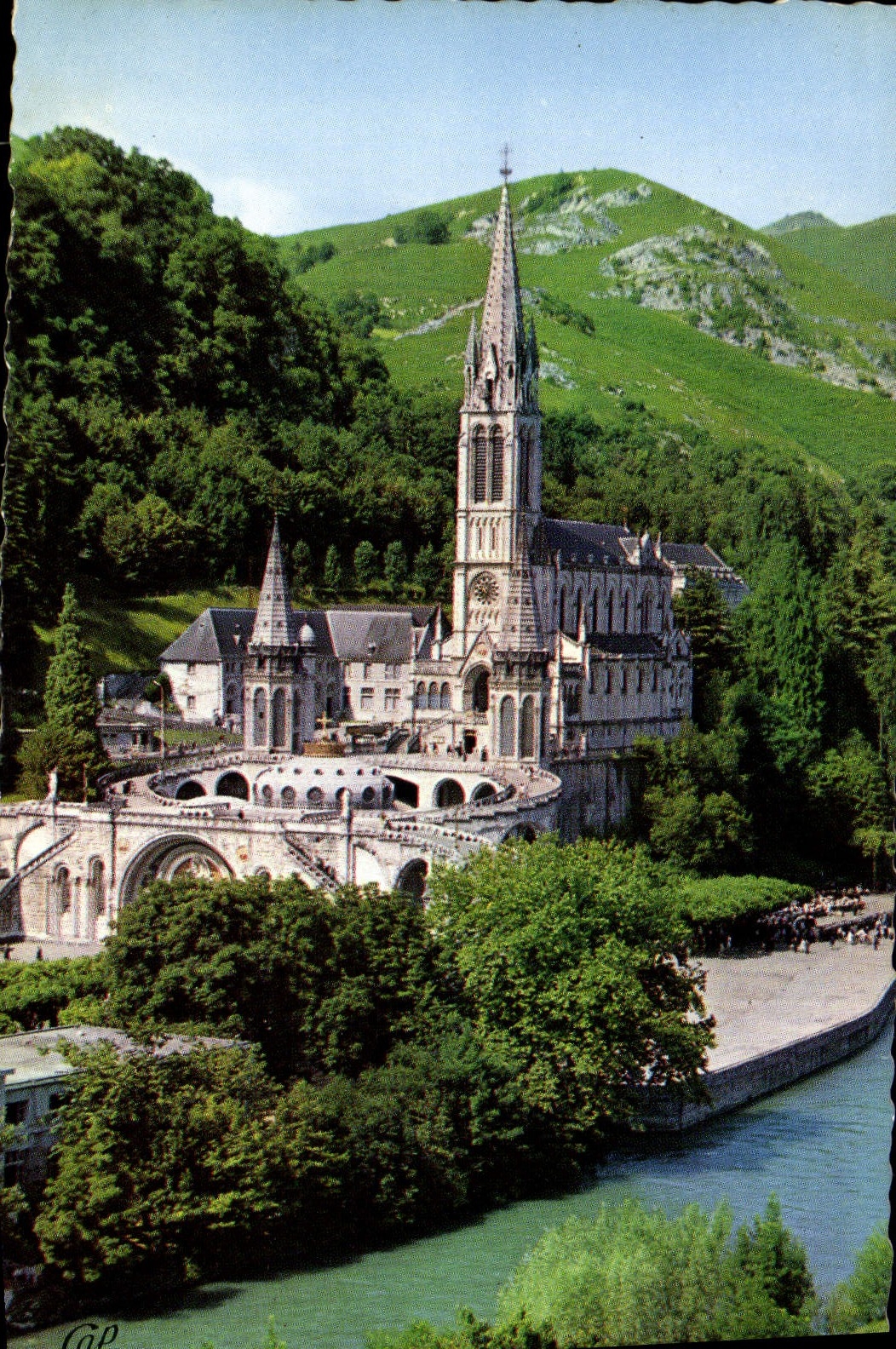 CPM Lourdes Le Gave Et La Basilique