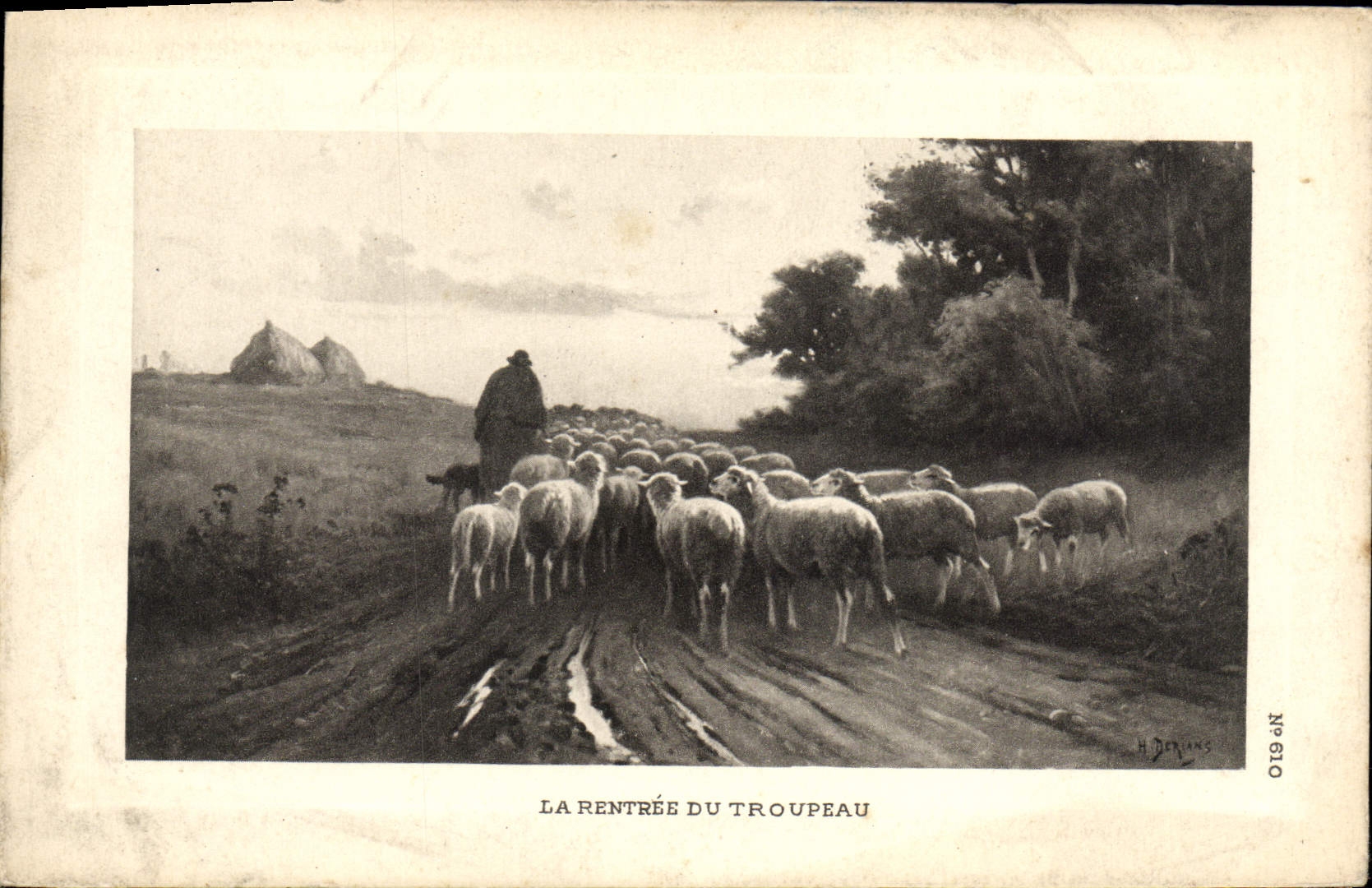 VINTAGE POSTCARD the Re-entry Of the Herd