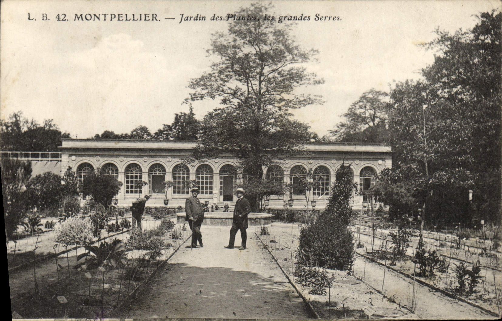 CPA Montpellir Jardin des plantes Les grandes serres
