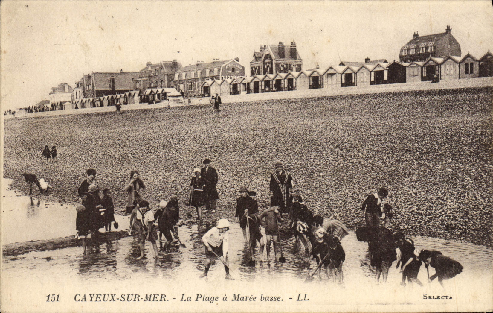 VINTAGE POSTCARD Cayeux On Mer the Beach has Maree Children