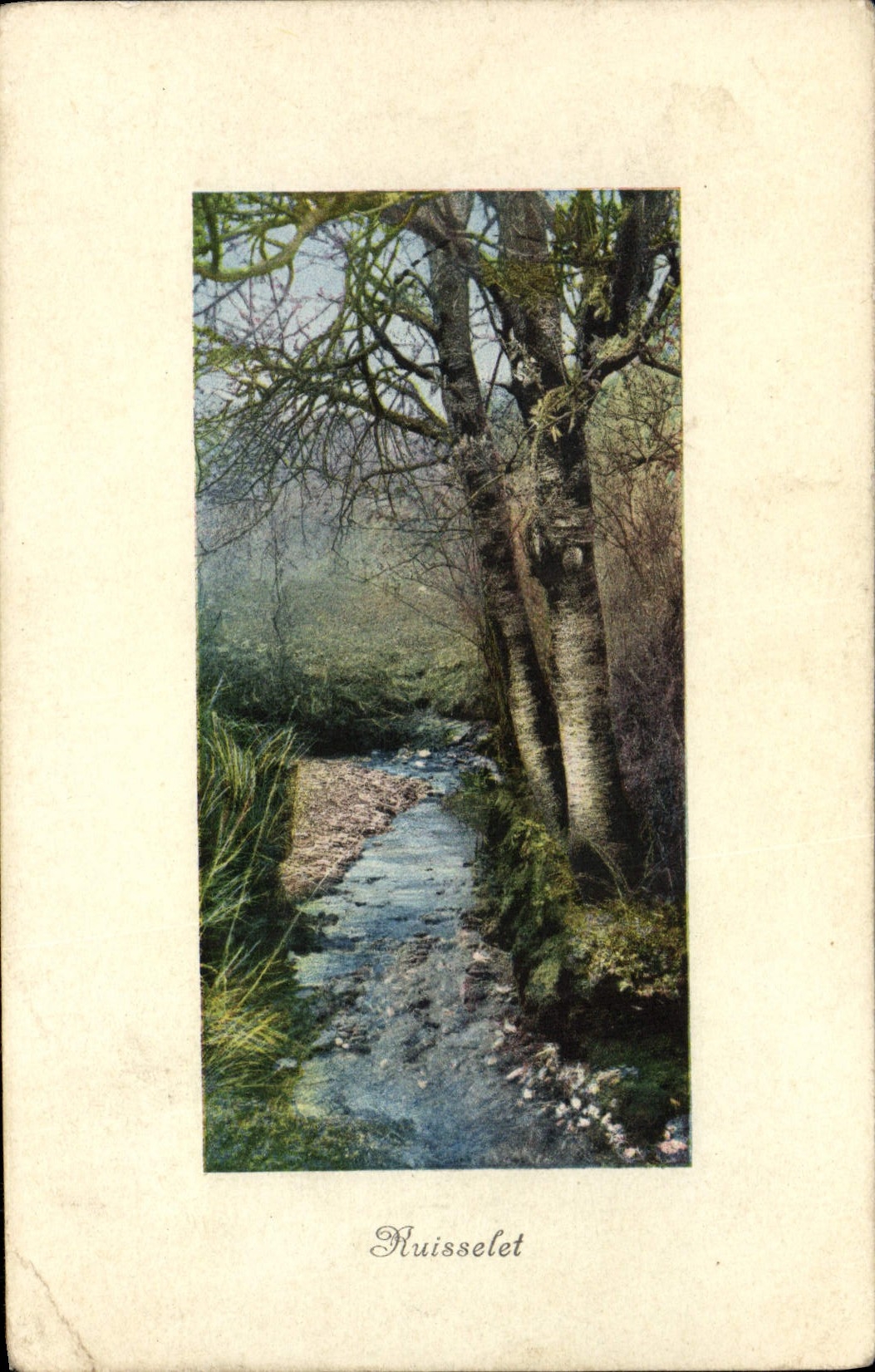 VINTAGE POSTCARD Ruisselet