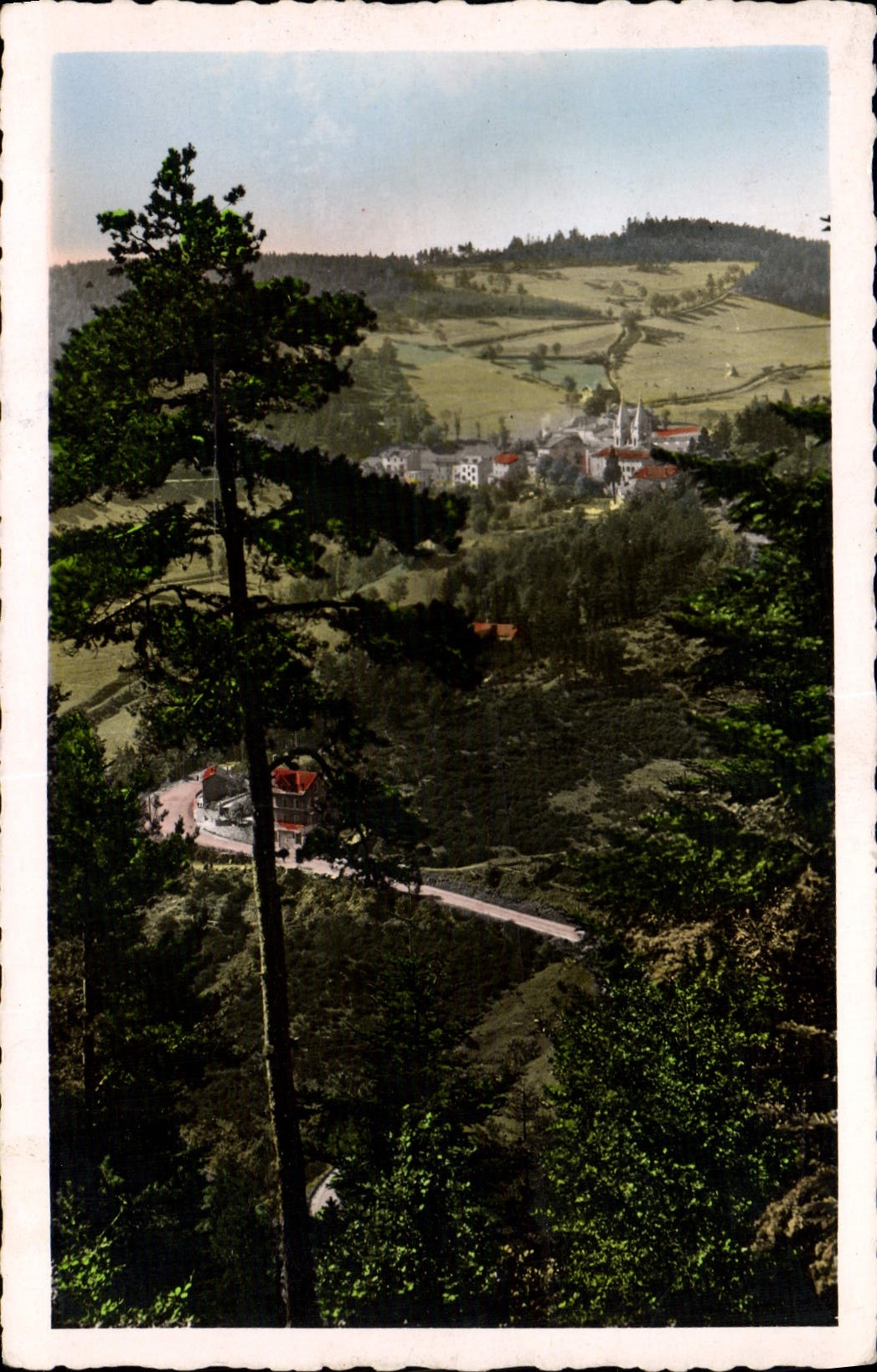 CPA La Louvesc Paysage a Travers les Pins et Route d'Annonnay