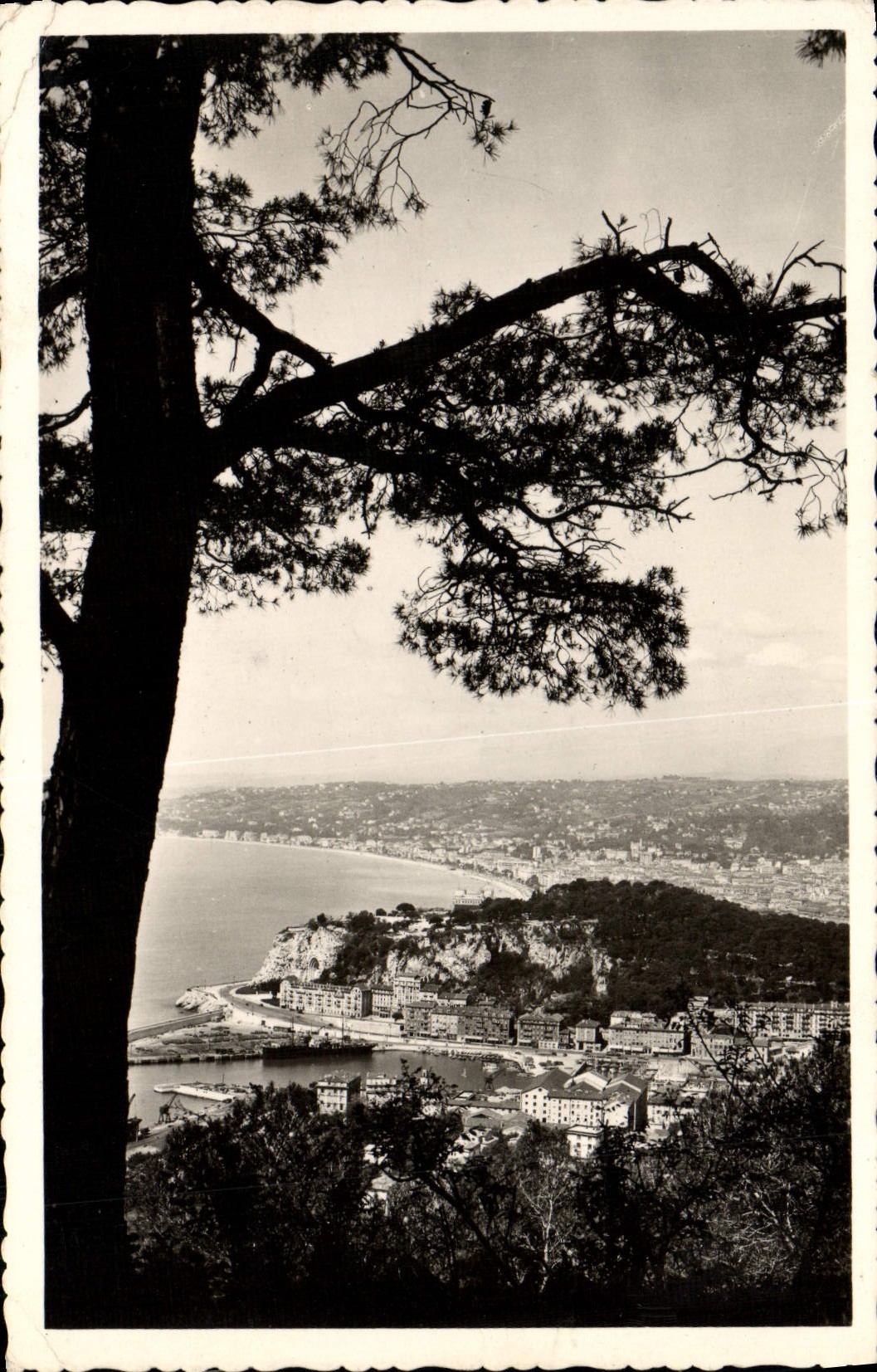 VINTAGE POSTCARD Nice Escaped on the City