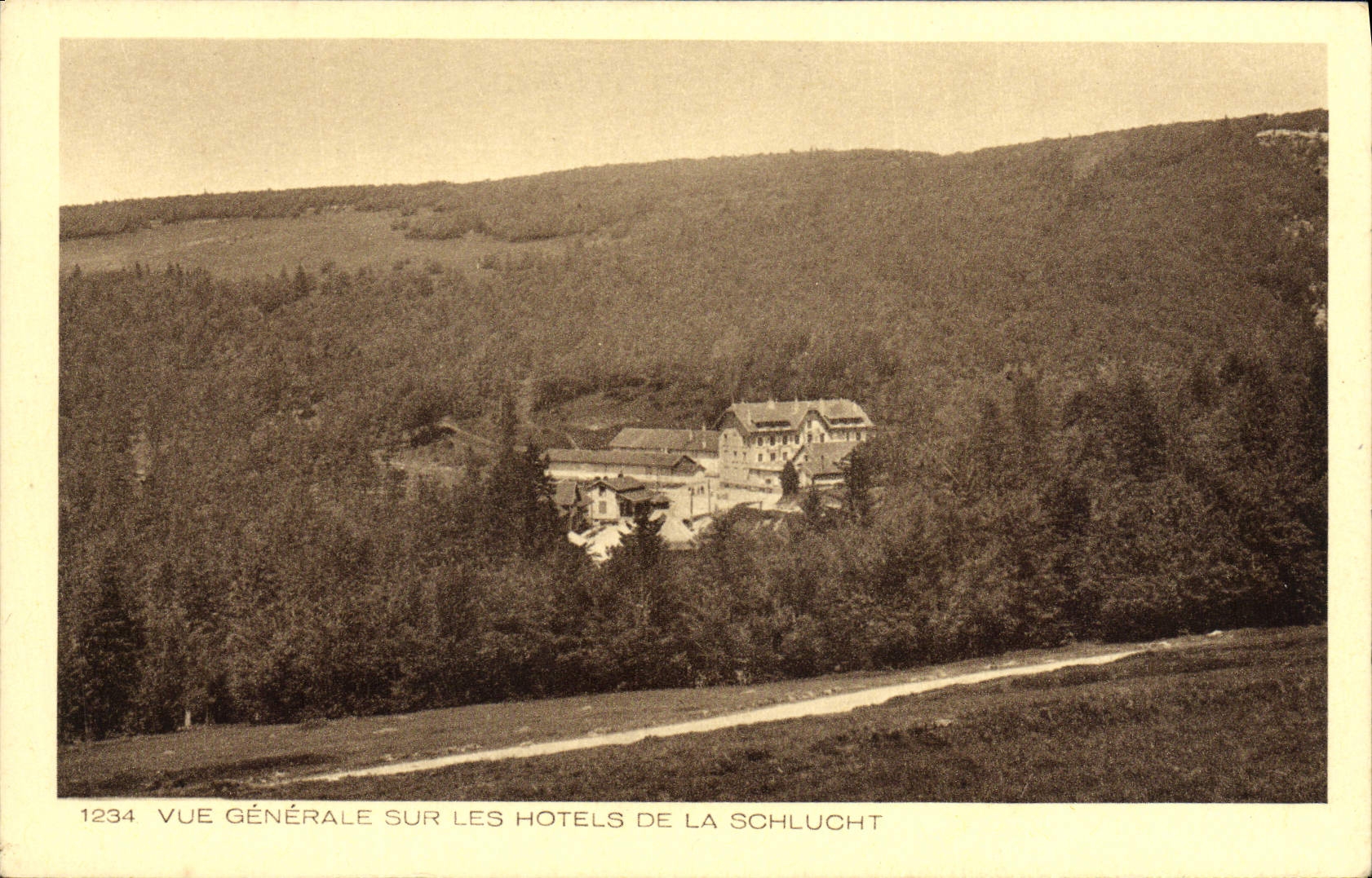 VINTAGE POSTCARD View On the Hotels Of Schlucht
