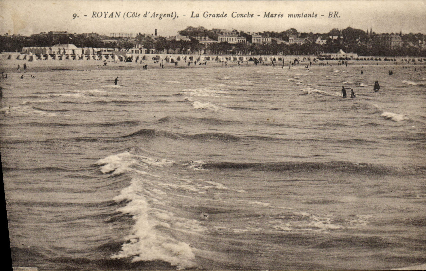 Creciente oleada grande de la concha de Royan de la POSTAL de la VENDIMIA