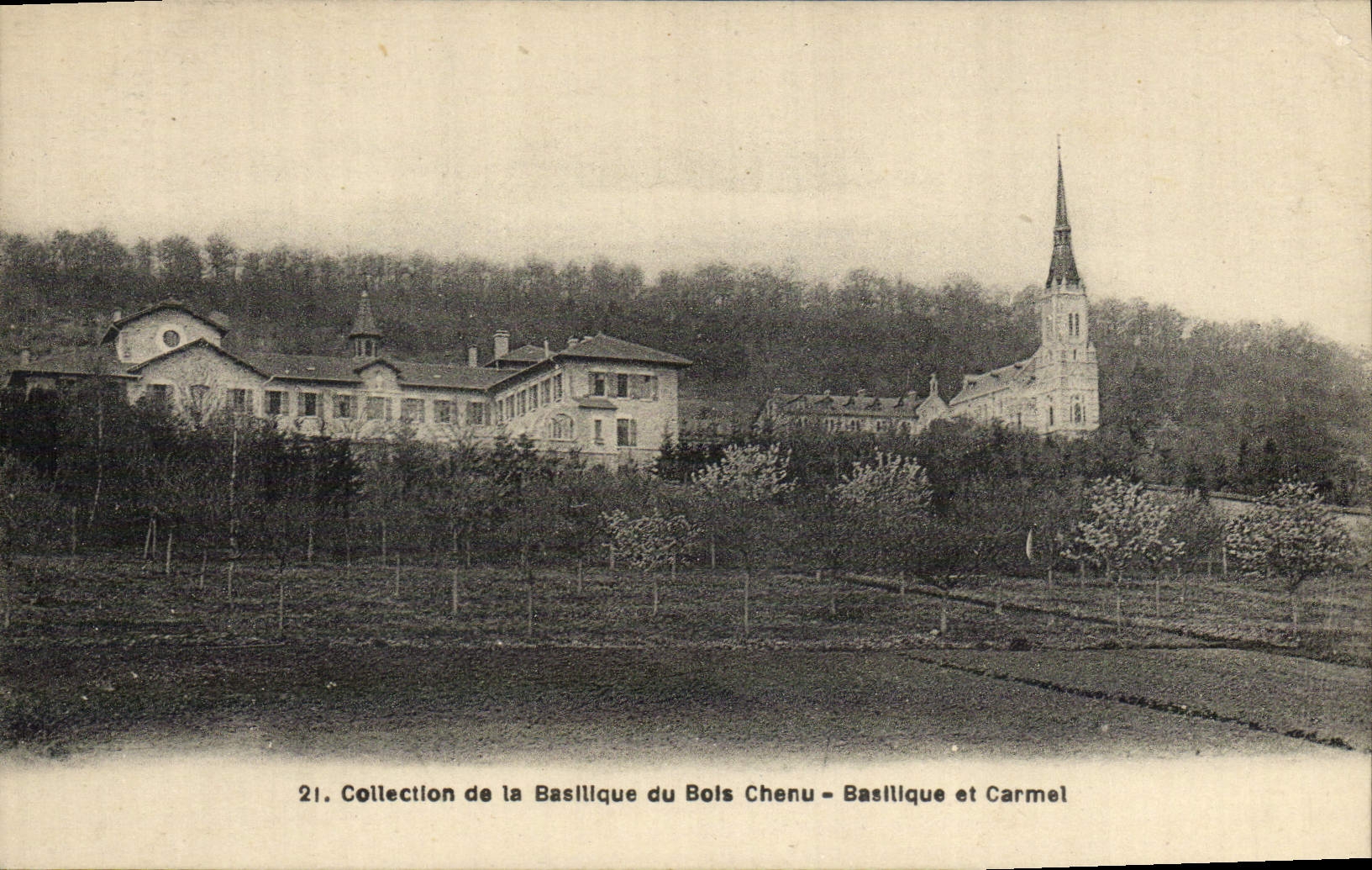 VINTAGE POSTCARD Collection of Basillque of Wood Chenu Basiliquet carmel