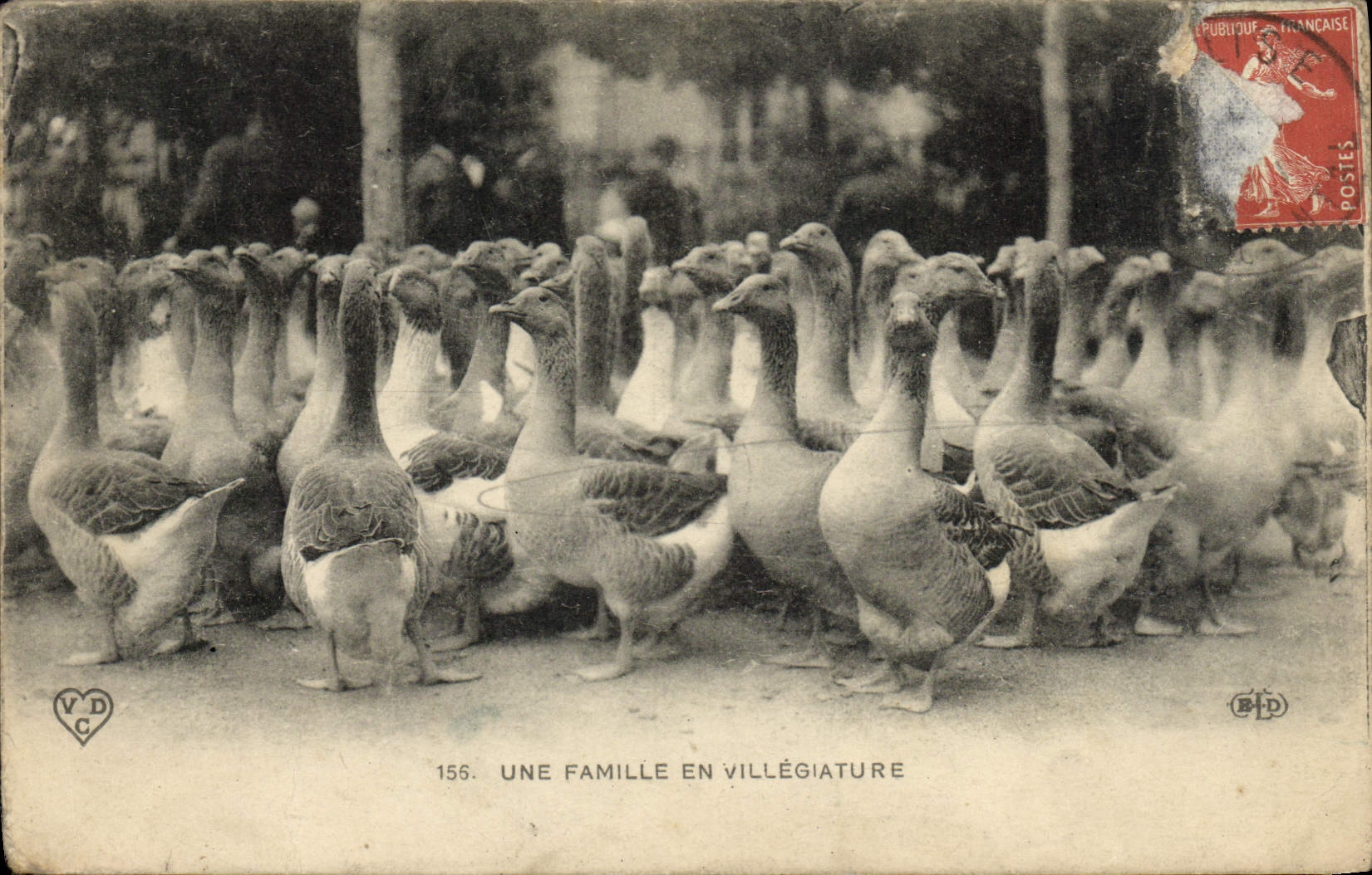 VINTAGE POSTCARD a Family In Holiday Geese