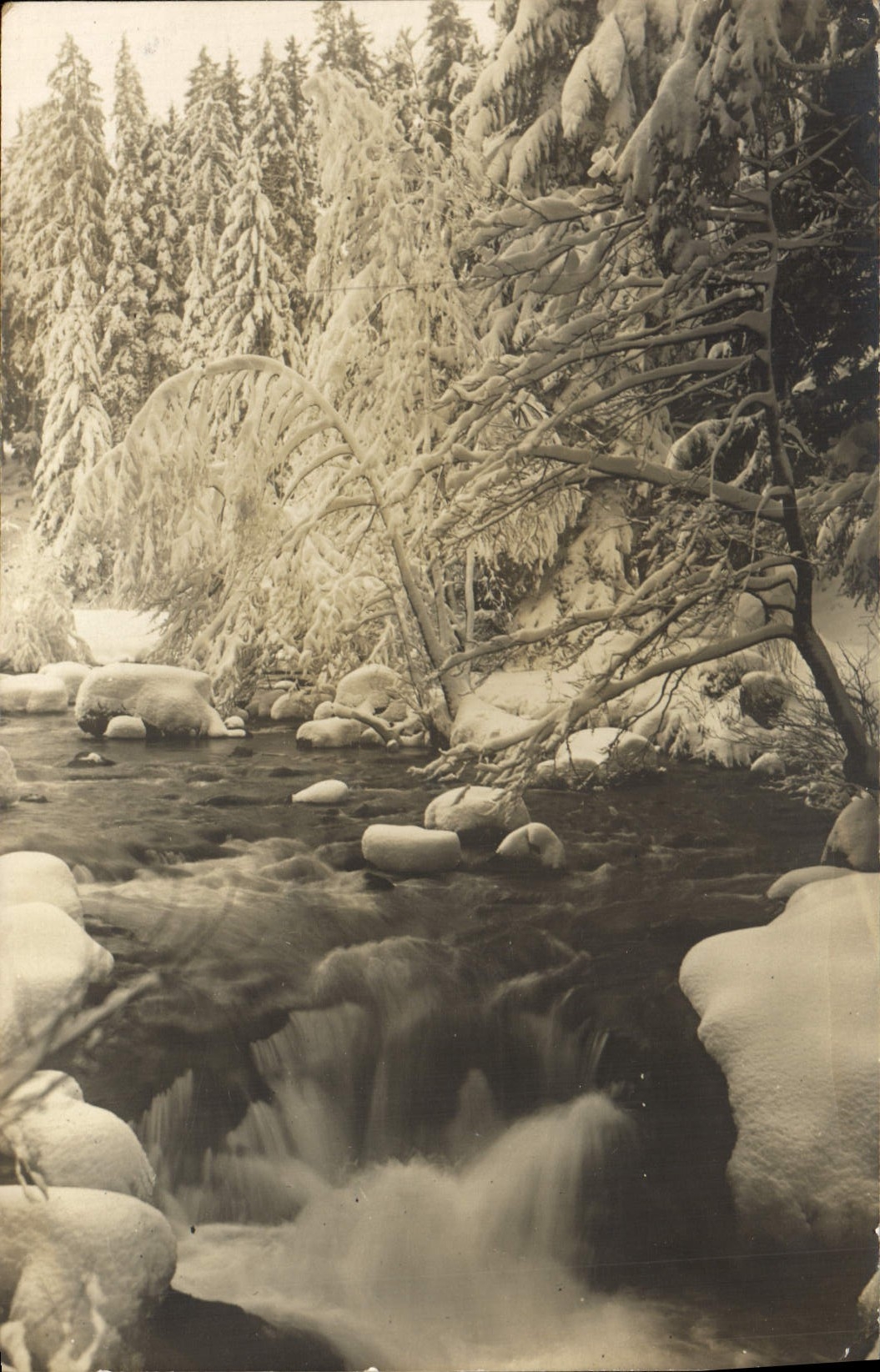 VINTAGE POSTCARD Gerardmer