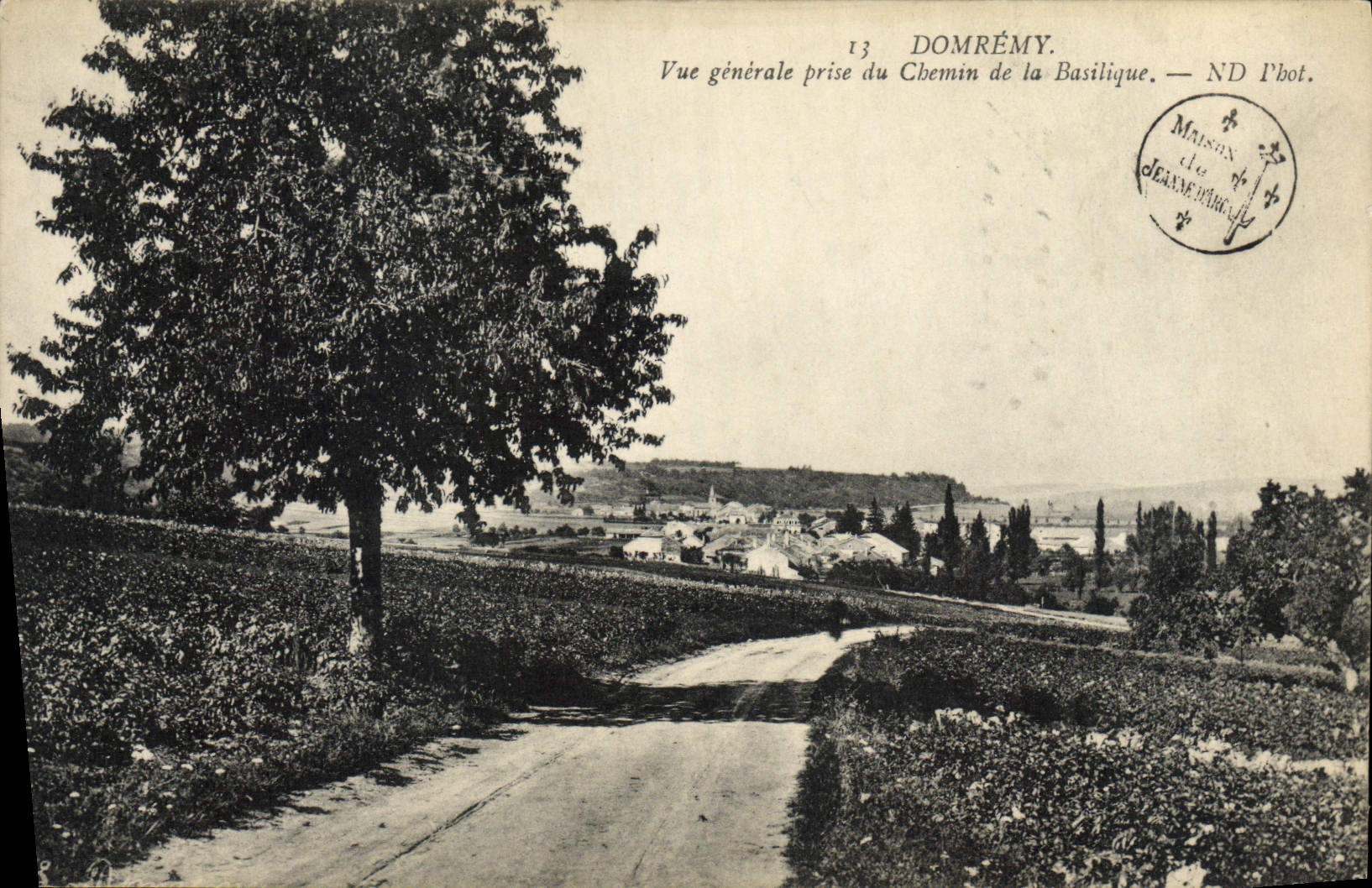 CPA Domremy Vue Generale Prise du Chemin de la Basilique