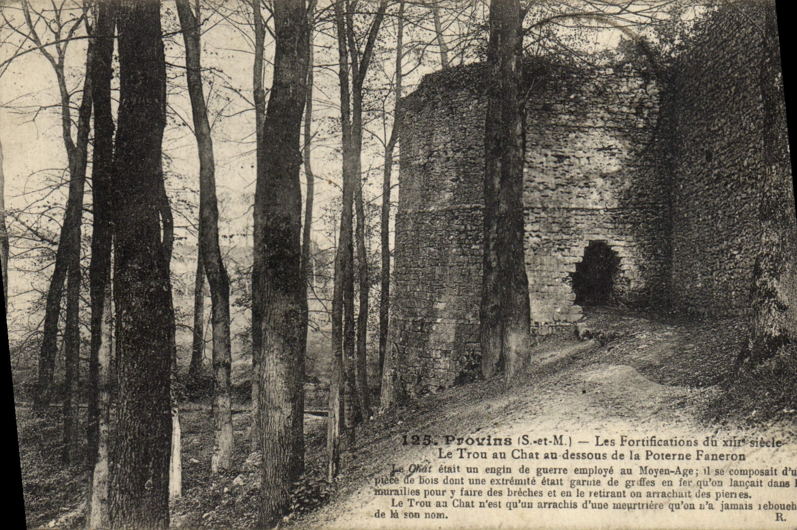 VINTAGE POSTCARD Layered branches Fortifications the hole with the cat with the lower part of the Faneron postern