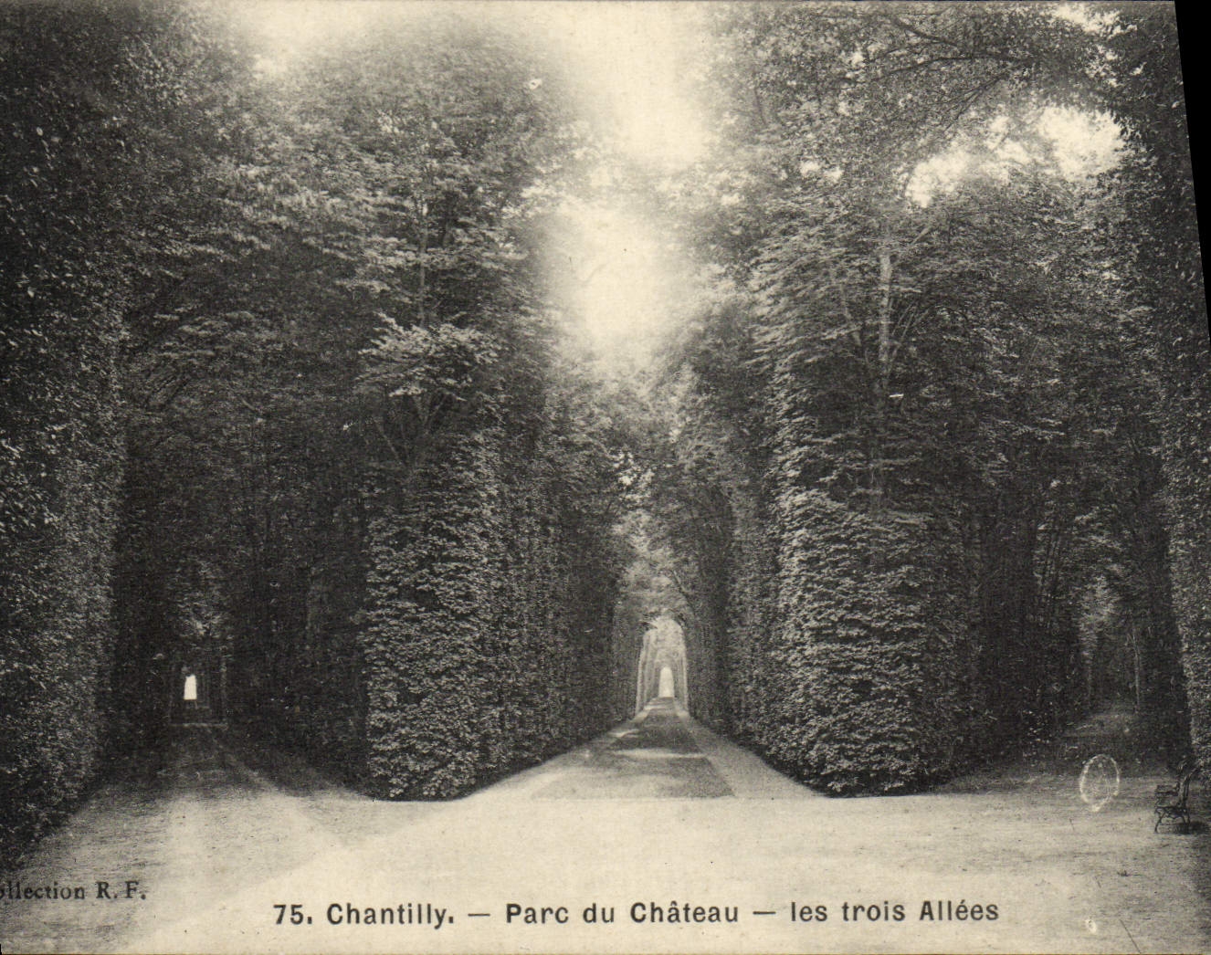 CPA Chantilly Parc du Chateau Les trois allees