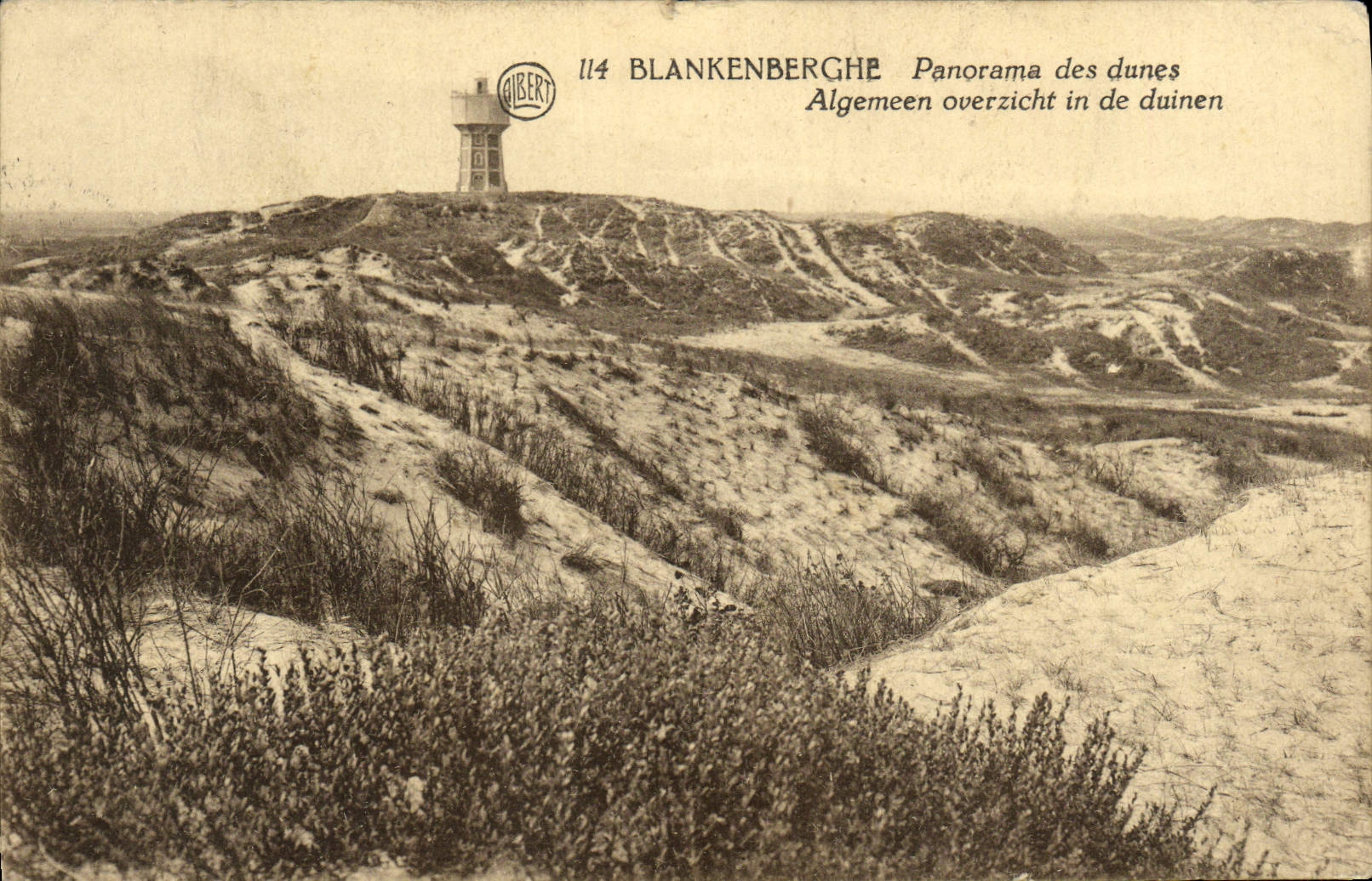 VINTAGE POSTCARD Blankenberghe Panorama of the Dunes