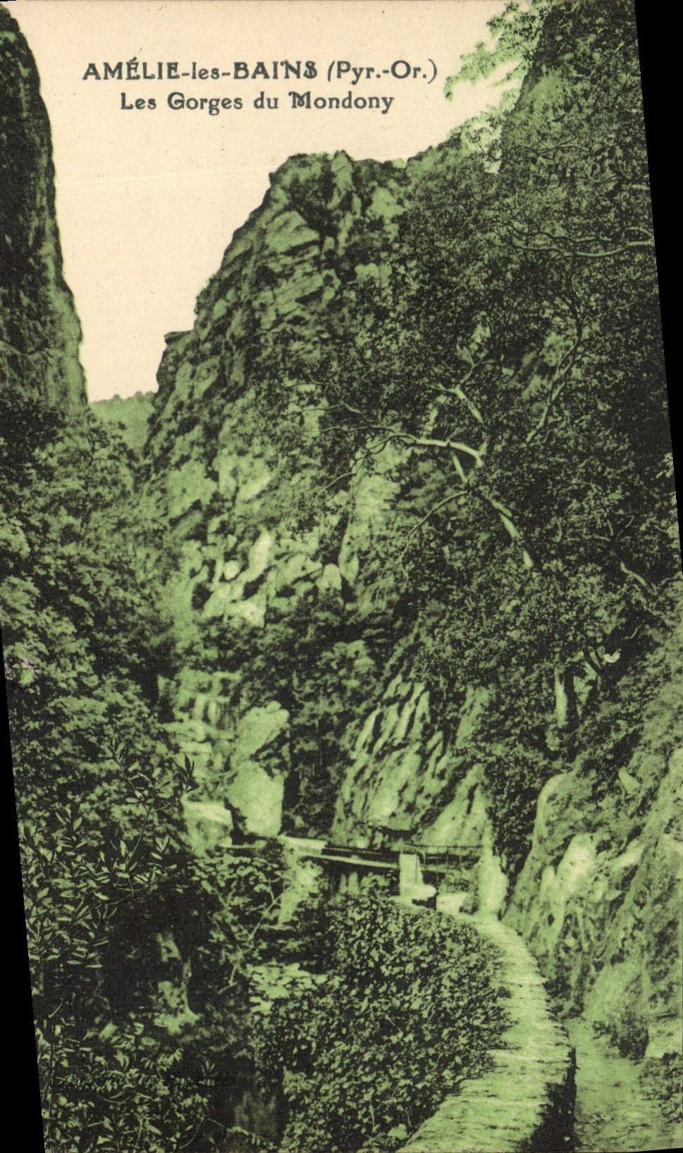 CPA Amelie Les Bains Les Gorges Du Mondony
