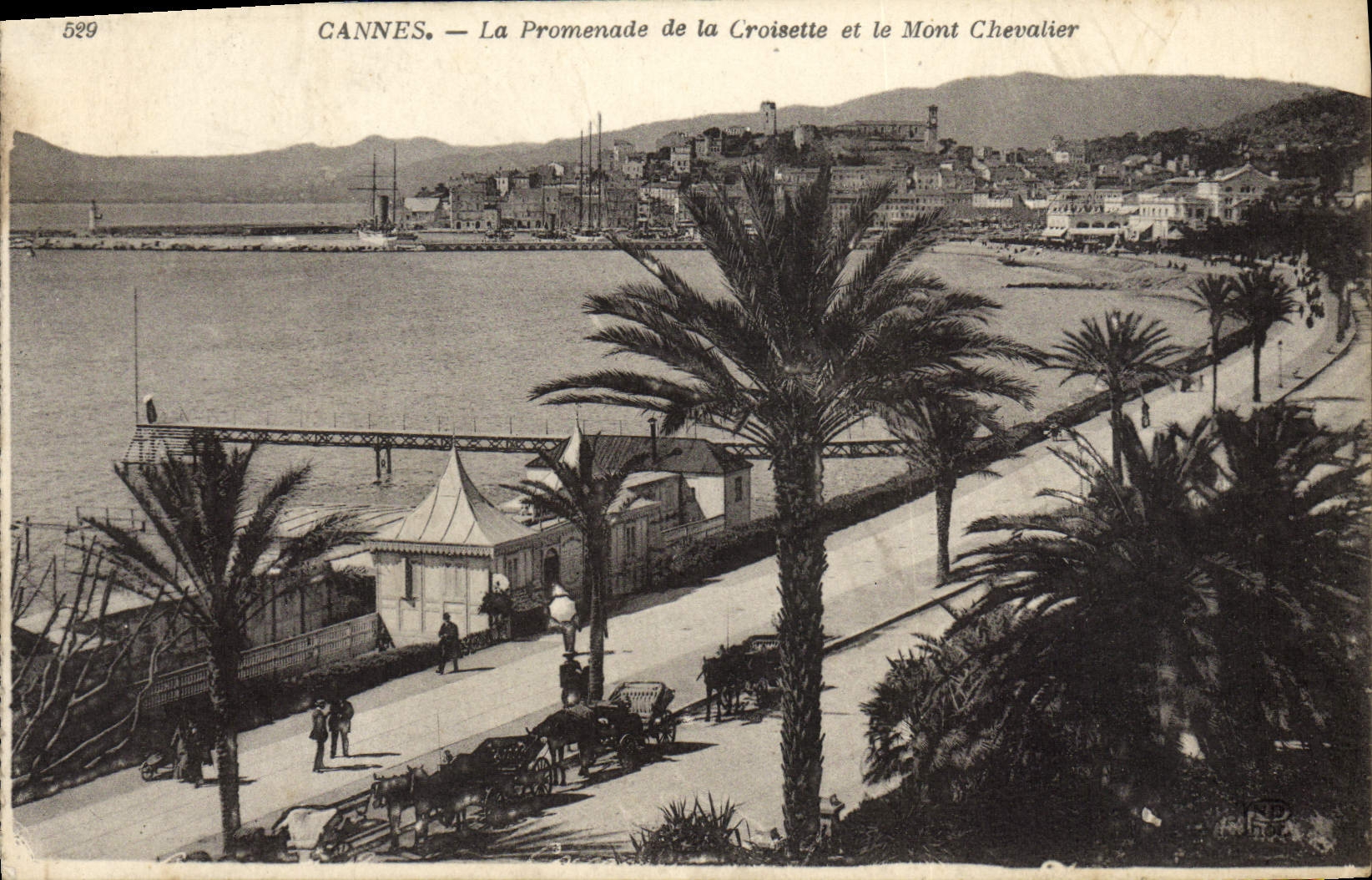 CPA Cannes La Promenade De La Croisette Et Le Mont Chevalier