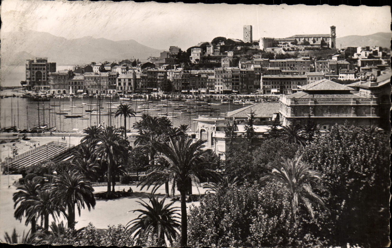 MODERN CARD Cannes the Port And the Chavelier Mount