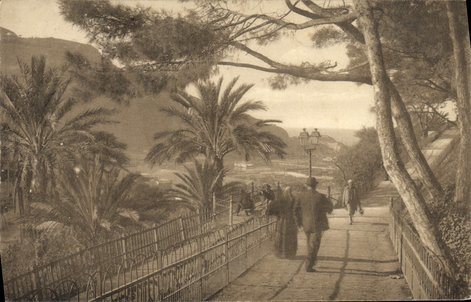 CPA Oran La Promenade De l'Etang