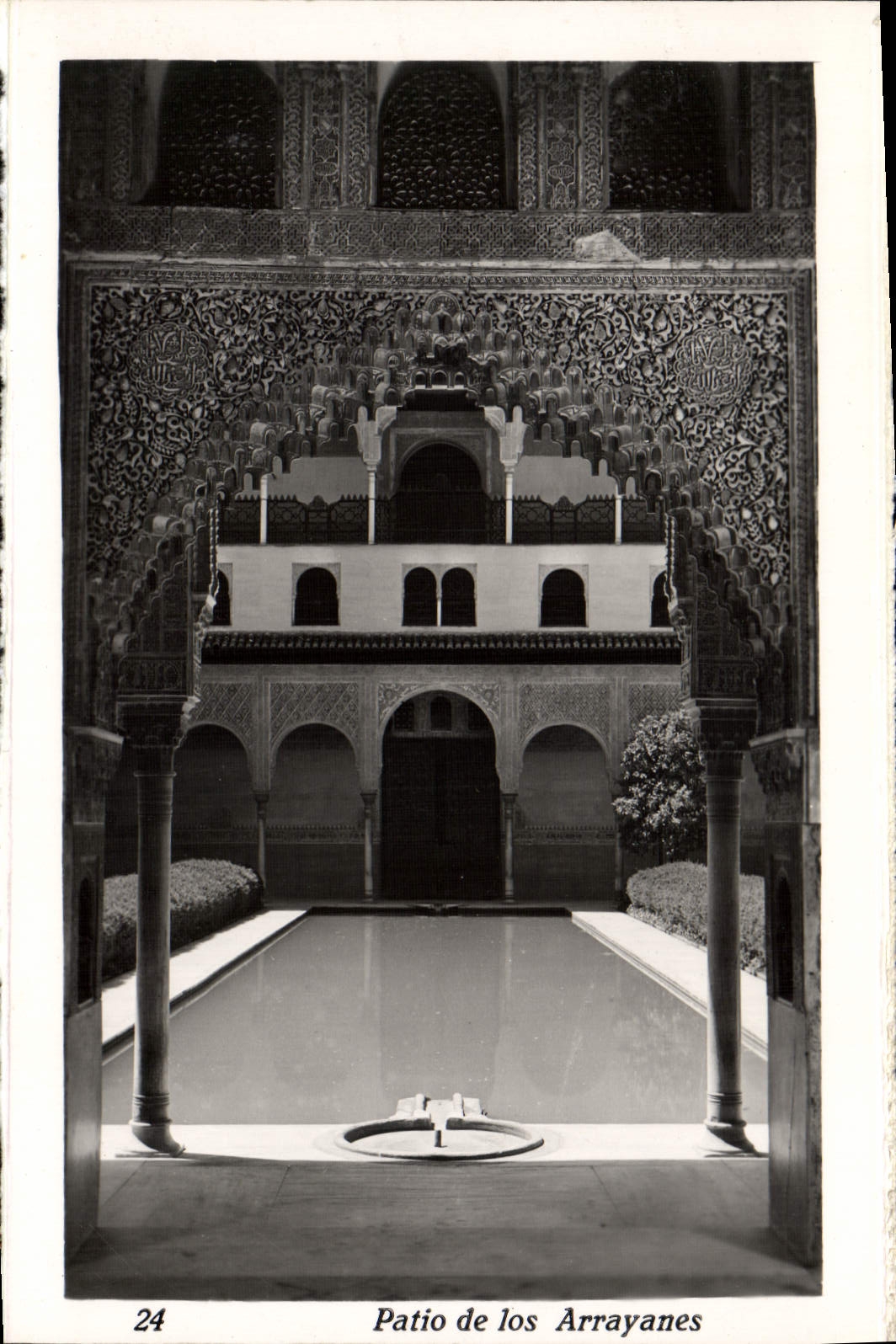 CPM Patio De Los Arrayanes