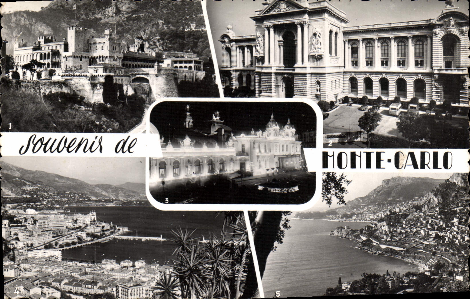 CPM Souvenir De Monte Carlo Palais du prince Musee