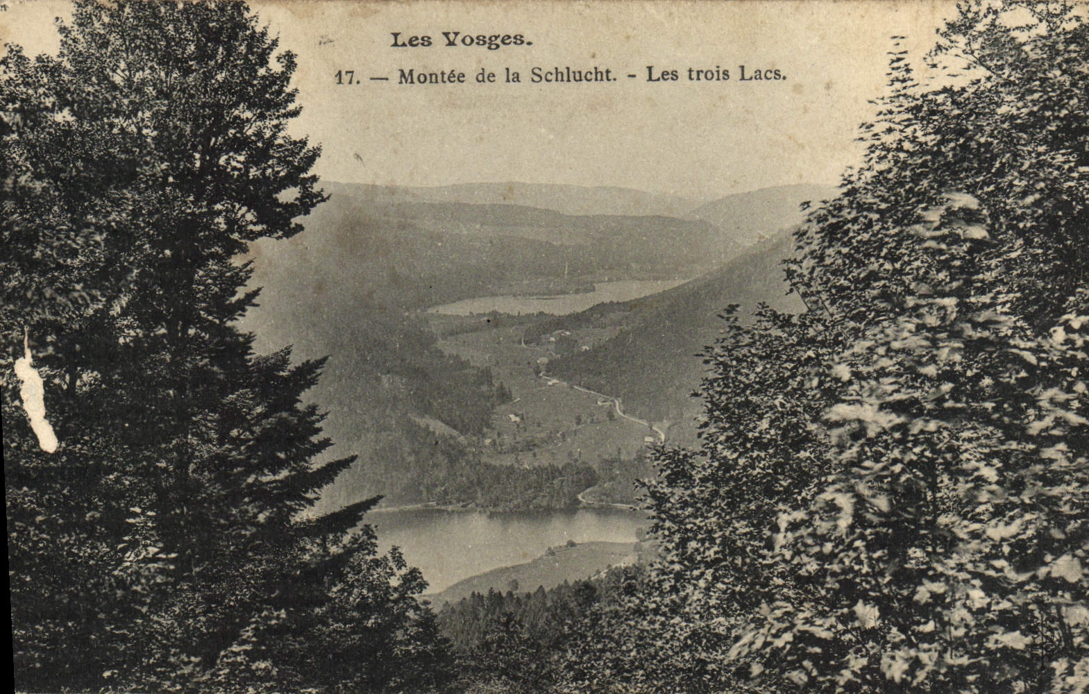 VINTAGE POSTCARD the Vosges Assembled Of Schlucht Three Lakes