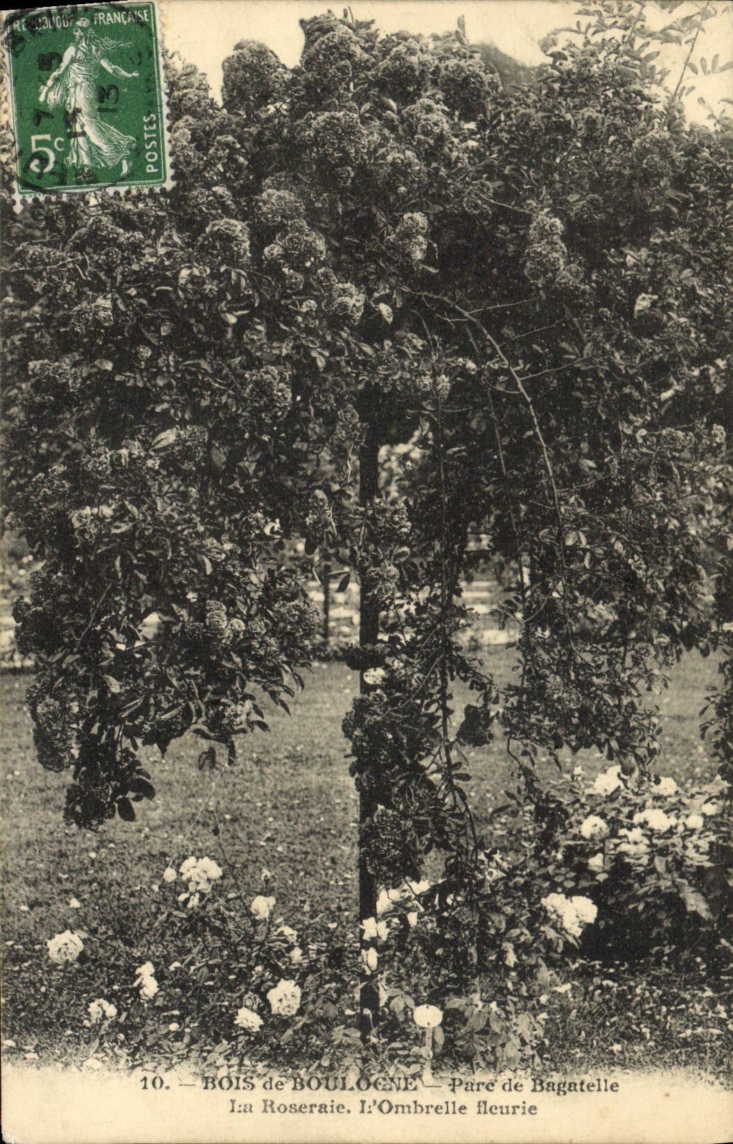 VINTAGE POSTCARD Bois de Boulogne Park of Trifle the rosery the flowered sunshade