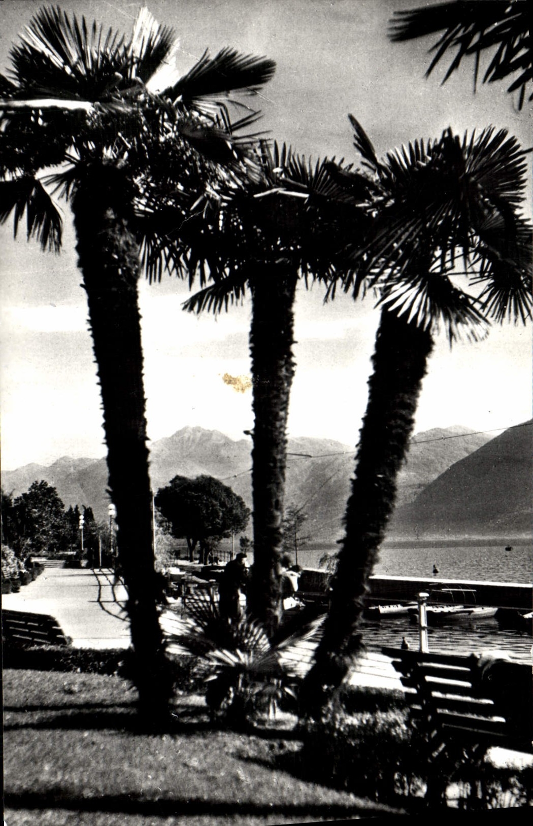 CPM Locarno Lungolago