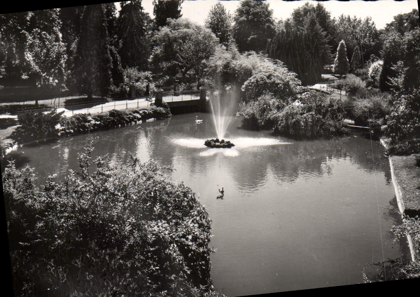 CPM Vichy Bassin des Eygnes Dans les Grandes Parcs