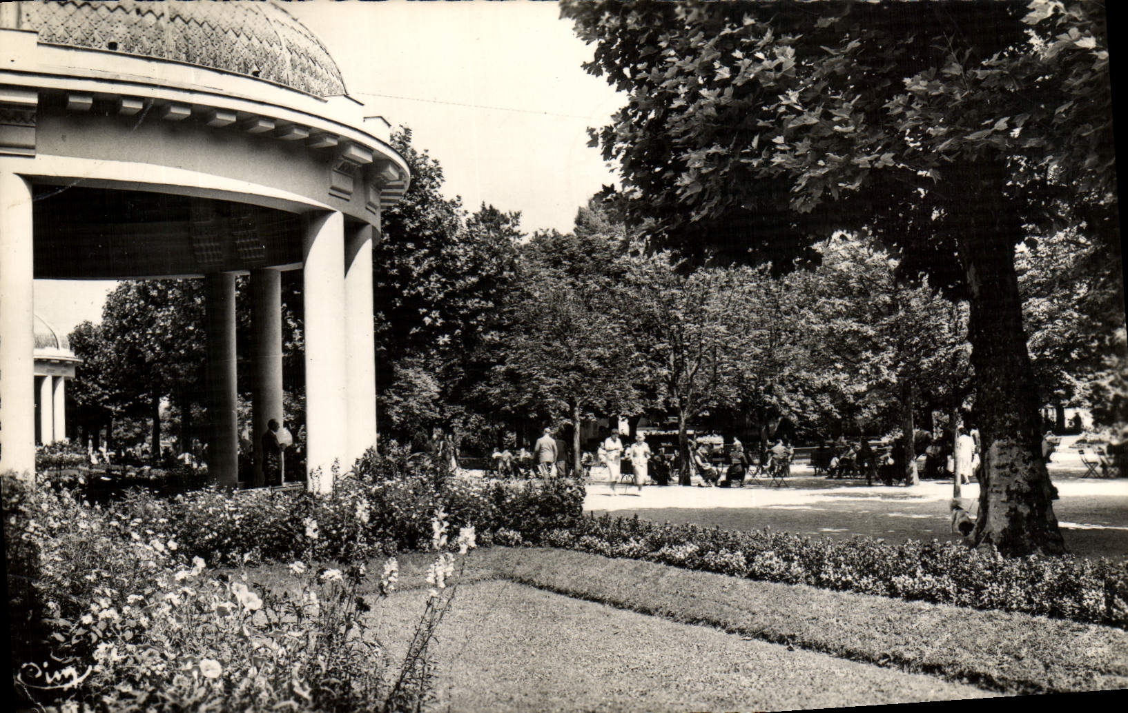 MODERN CARD Vittel the Park