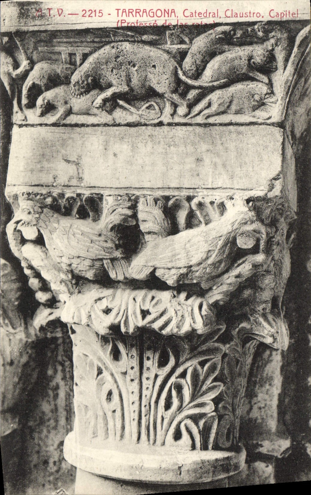 VINTAGE POSTCARD Tarragona Catedral Claustro Capitel