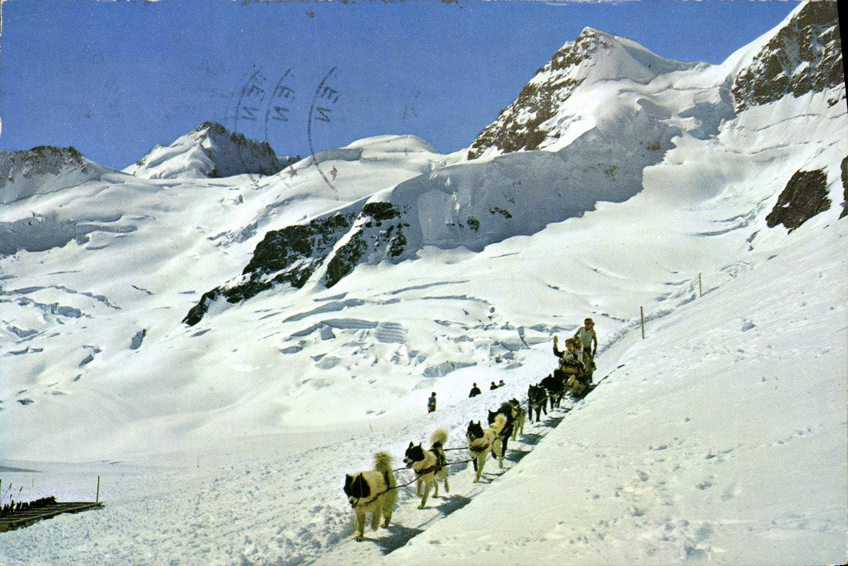 MODERN CARD Jungfraujoch Polarhunde MIT Gletscherhorn Unr Rottalhorn Huskies