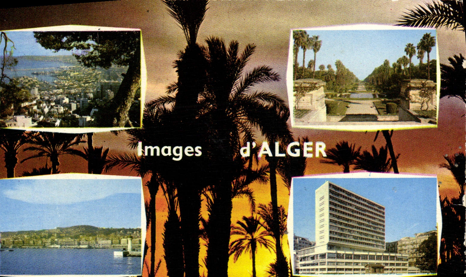 CPM Souvenir D'Alger