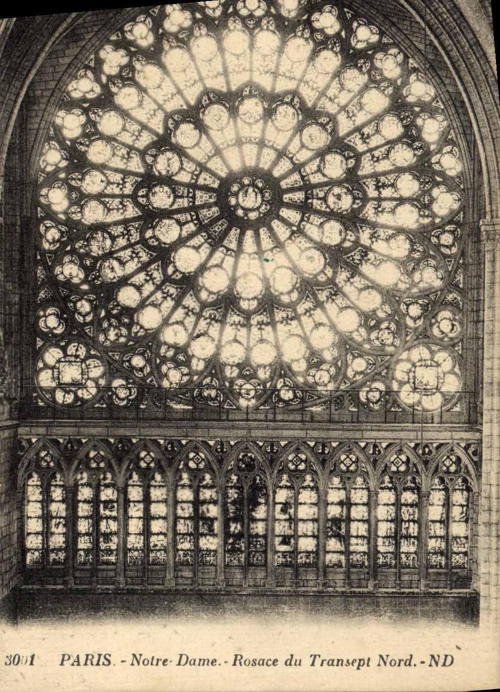 CPA Paris Notre Dame Rosace Du Transept Nord