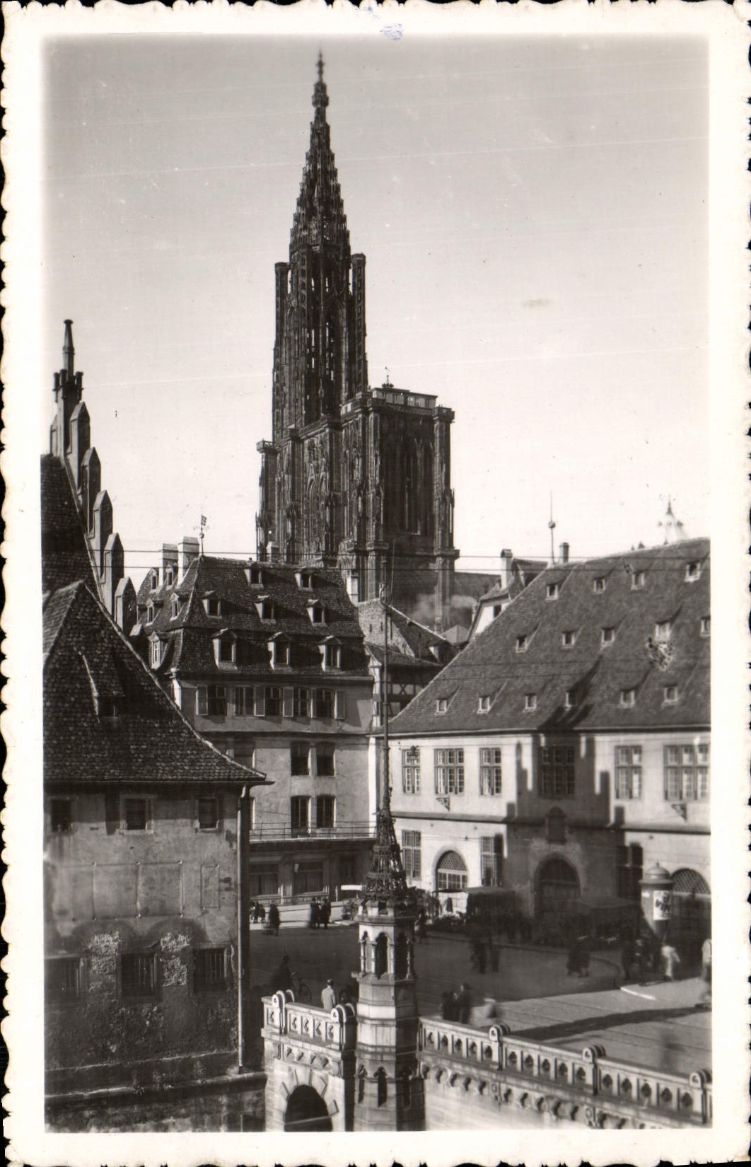 MODERN CARD Strasbourg Pant Of the Corbel And the Cathedral