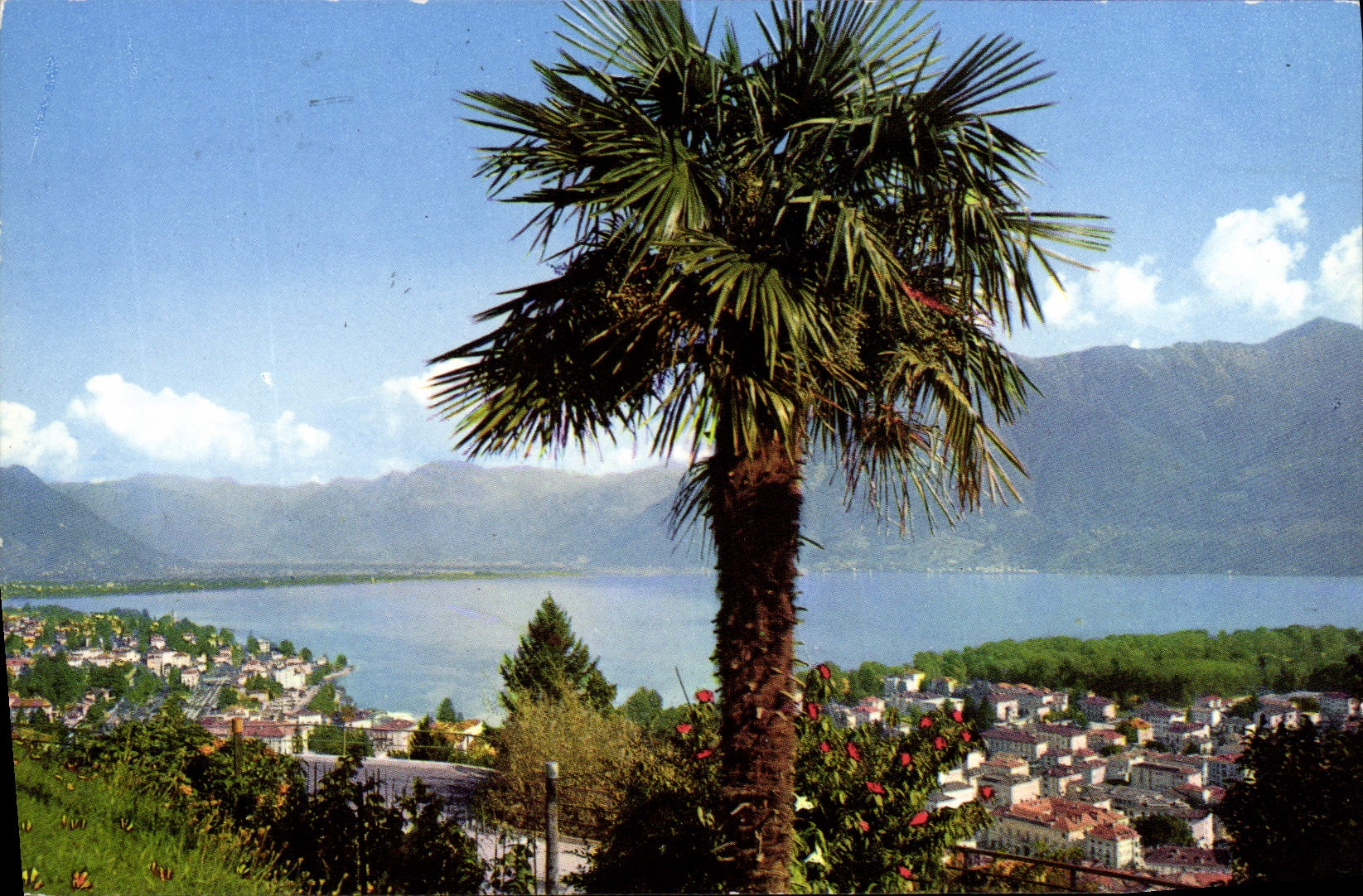CPM Locarno Lao Maggiore Panorama