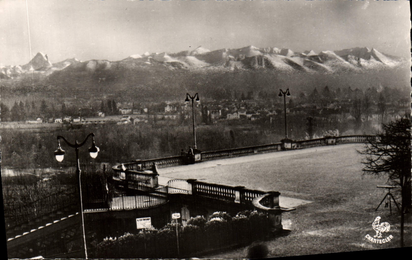 CPM Pau Le Boulevard Des Pyrenees