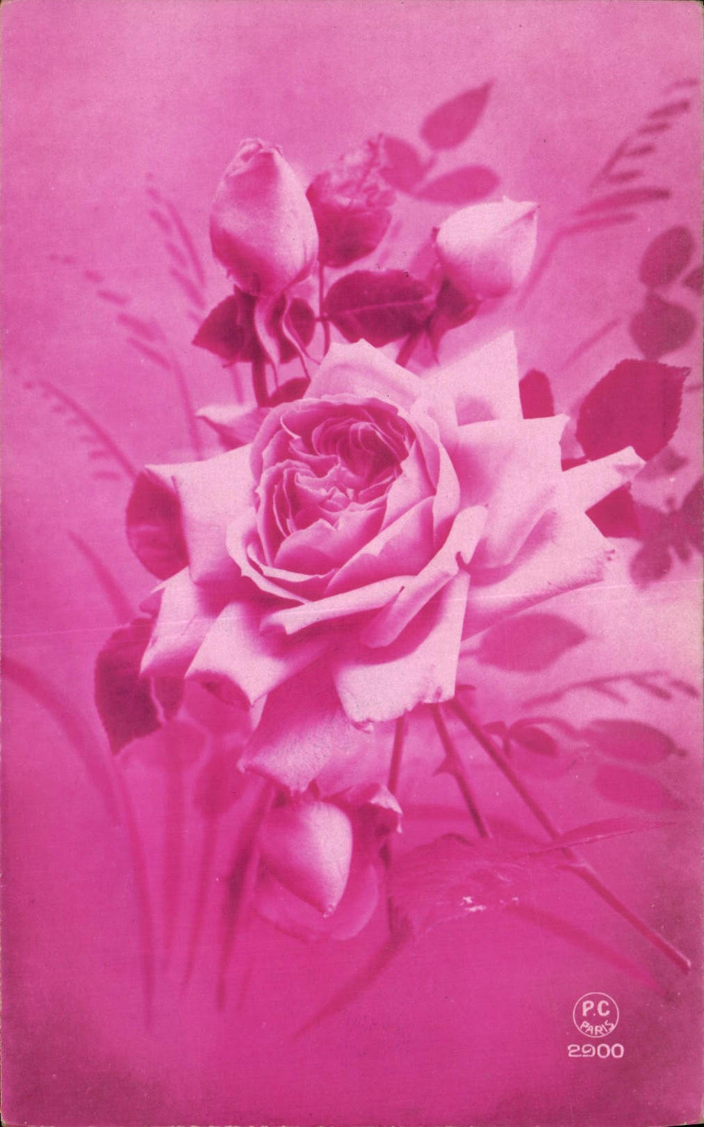 CPA Fantaisie Fleurs