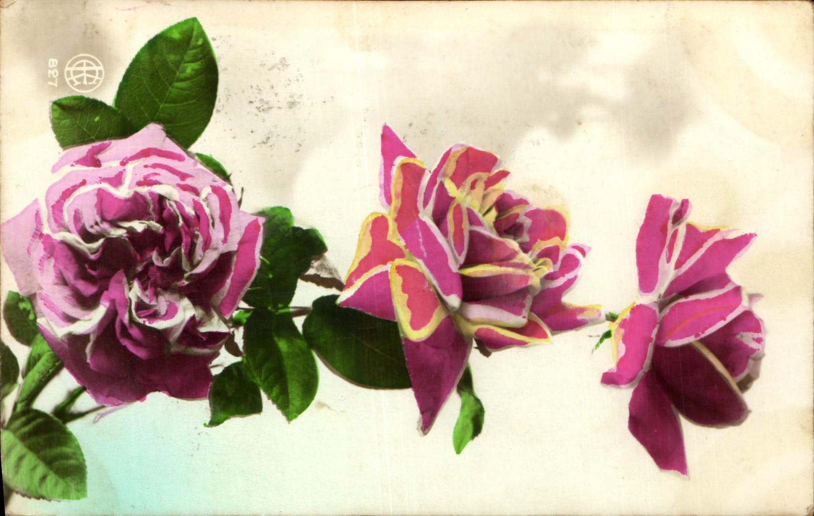 CPA Fantaisie Fleurs