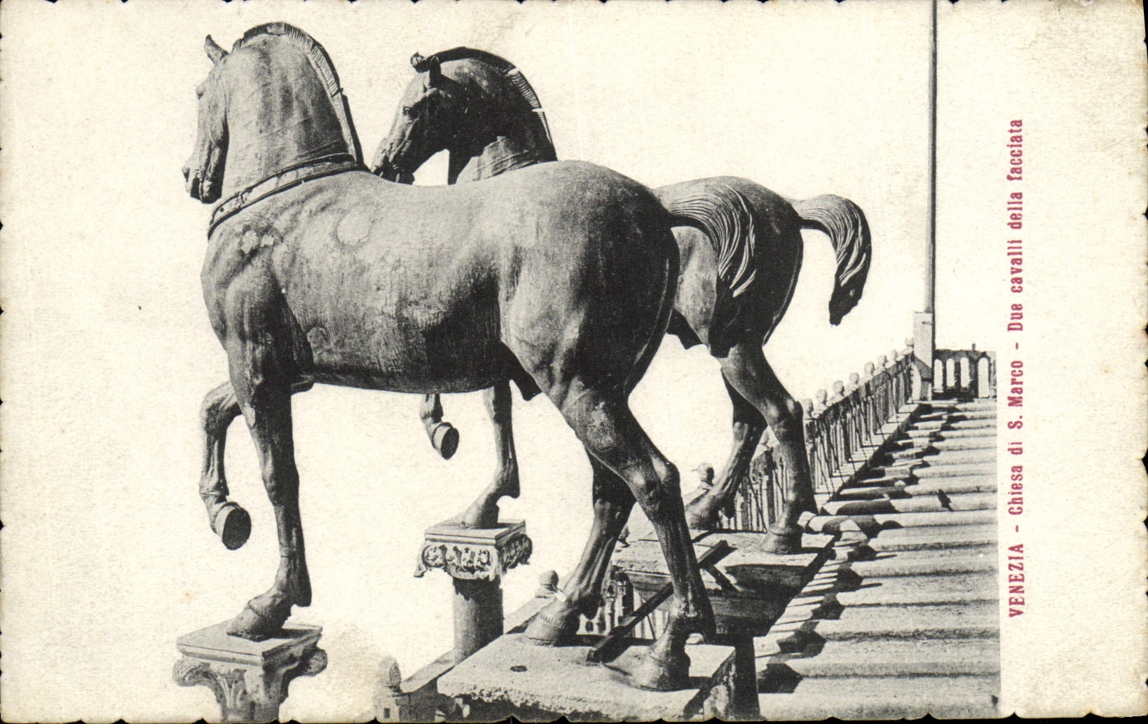 VINTAGE POSTCARD Venezia Chiesa di Marco Due Cavaill della Facciata Horses