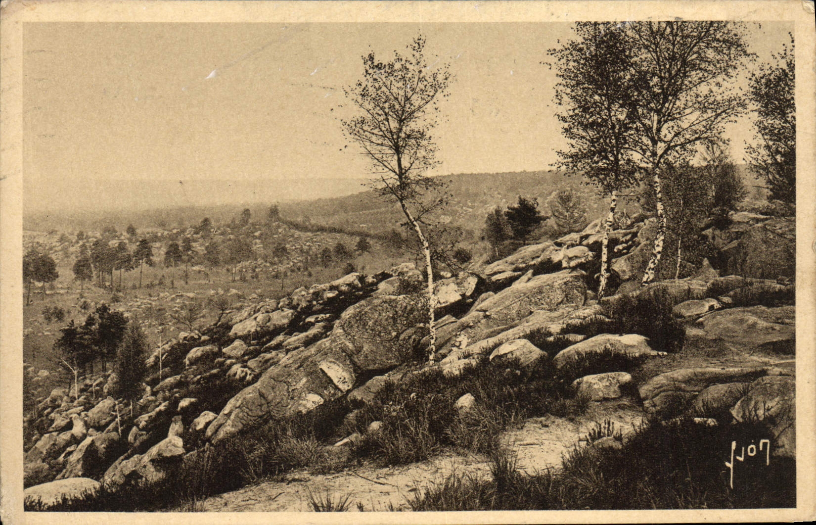 VINTAGE POSTCARD Fontainebleau the Drill Descrt d' Apremont