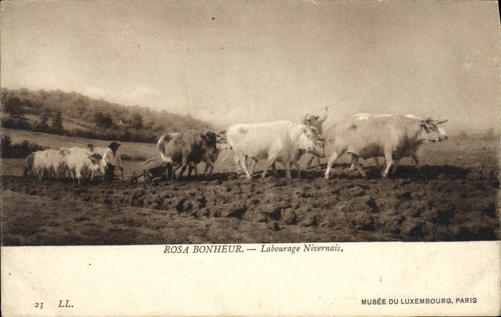 VINTAGE POSTCARD Rosa Happiness Nevers-native Tilling Museum Of Luxembourg Paris Oxen